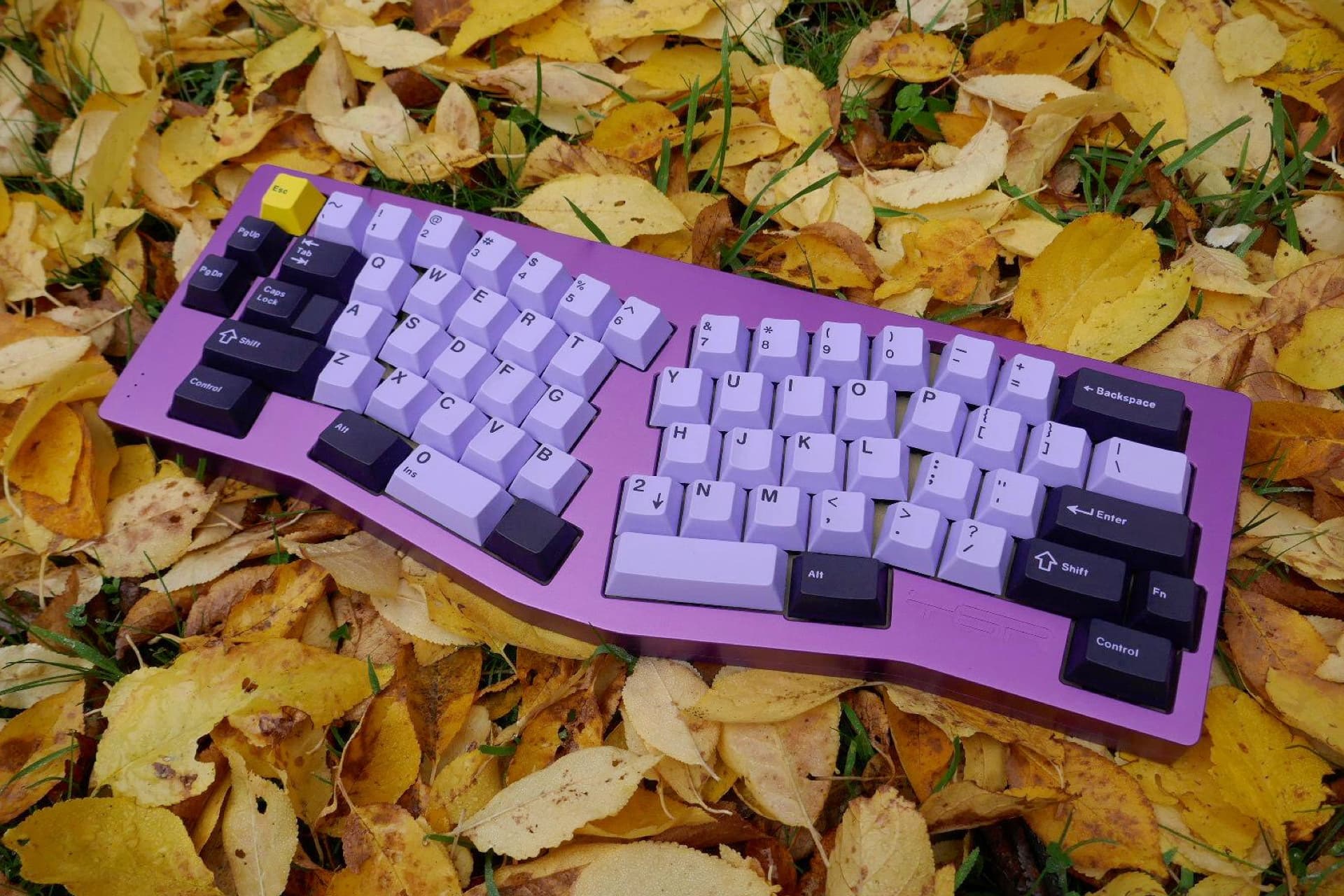 GMK Taro R2 - Closed image 36