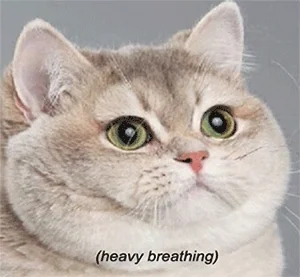 CAKE60_R1 🍰 COMPLETE 🍰 image 56