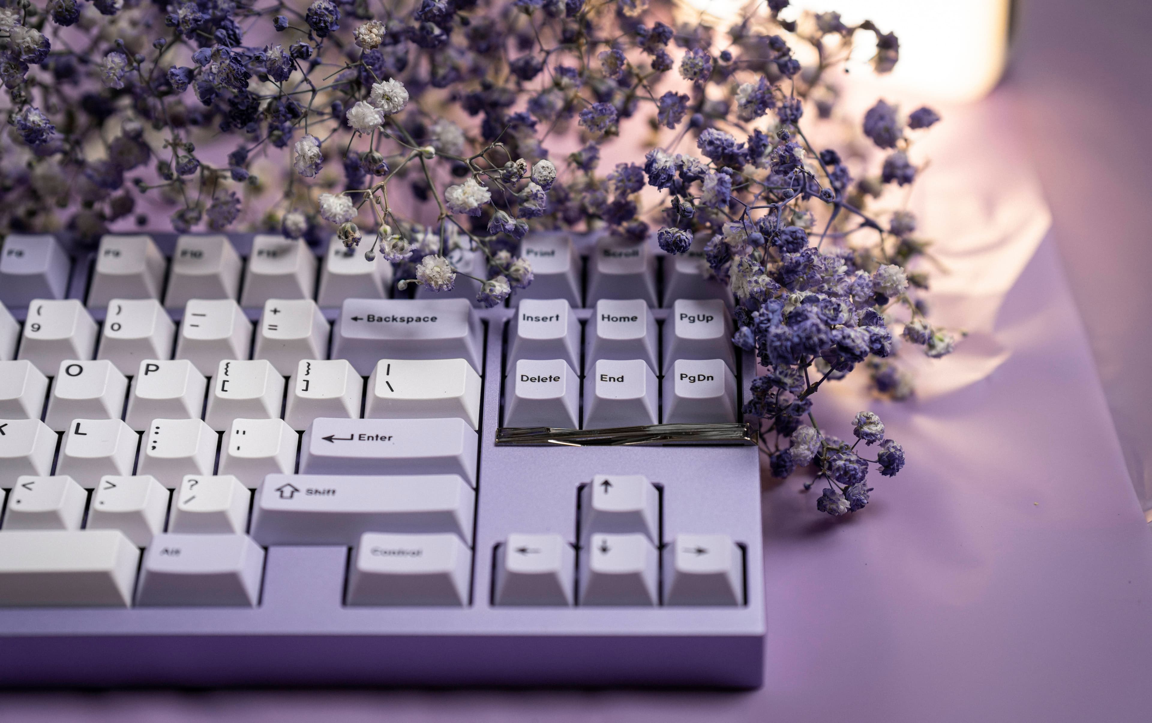 Haven TKL - An 80% Keyboard with F13 Layout image 15