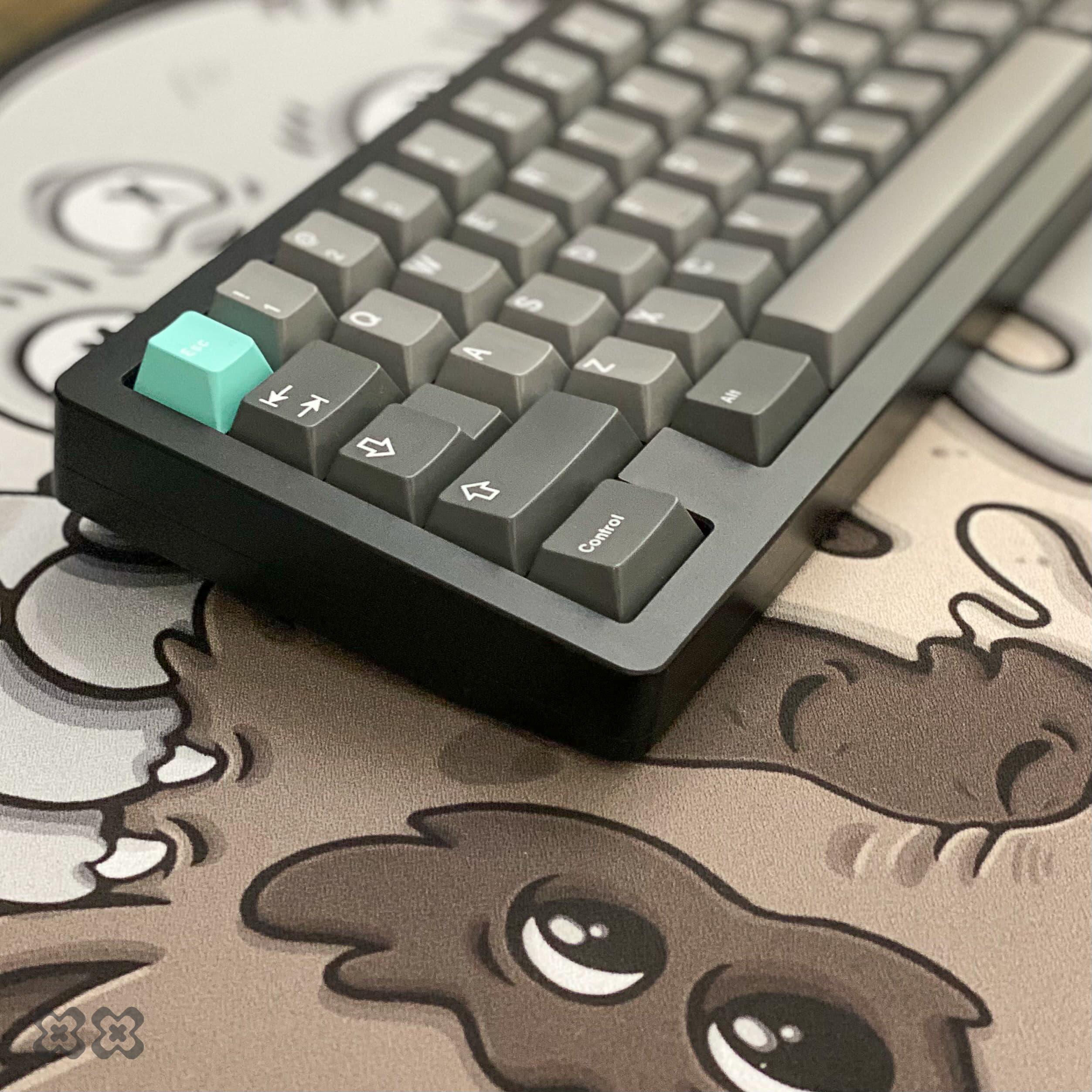 Invictus - Leaf Spring Gasket 60% image 6