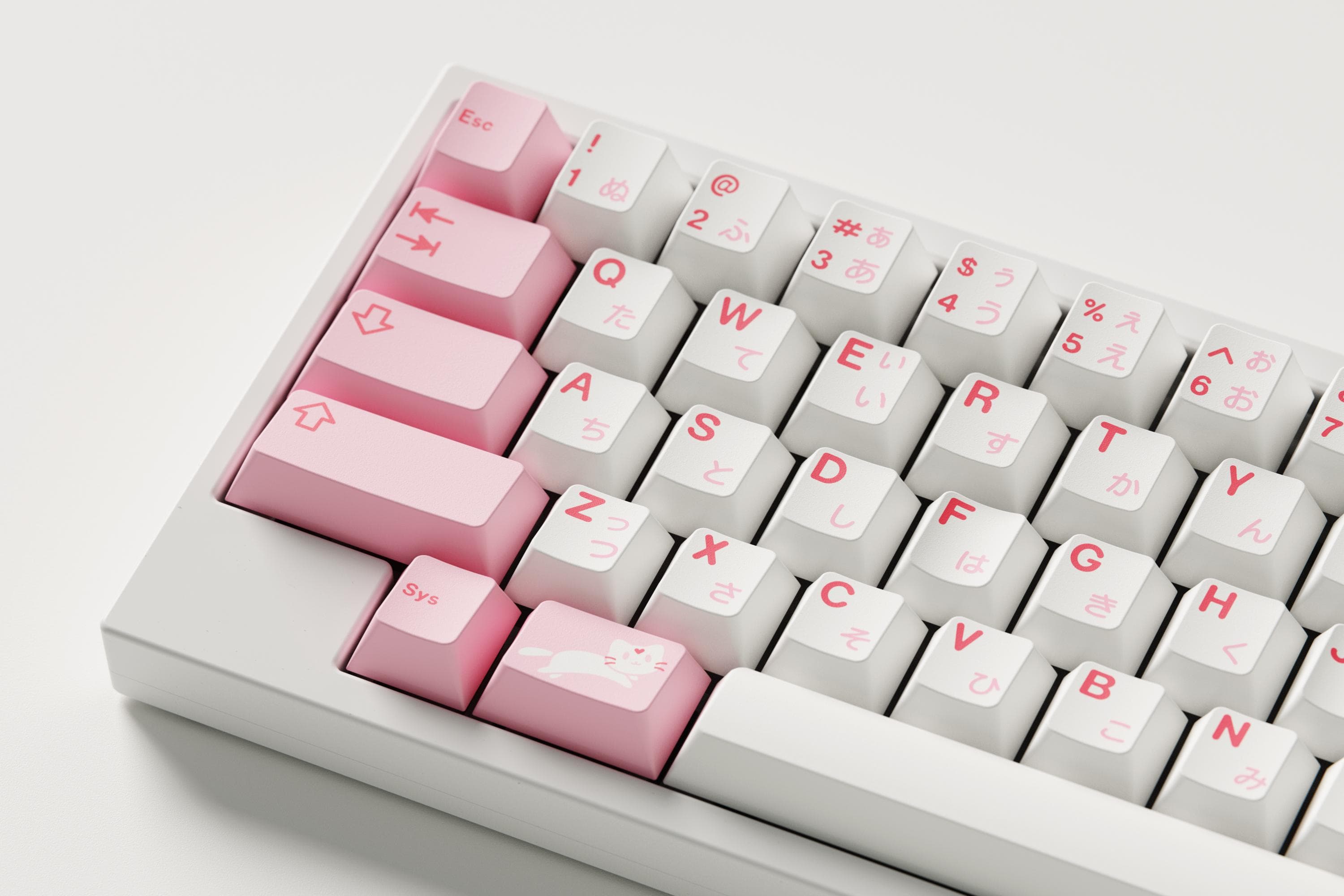 GMK Hazakura 🌸 | GB LIVE ! image 14