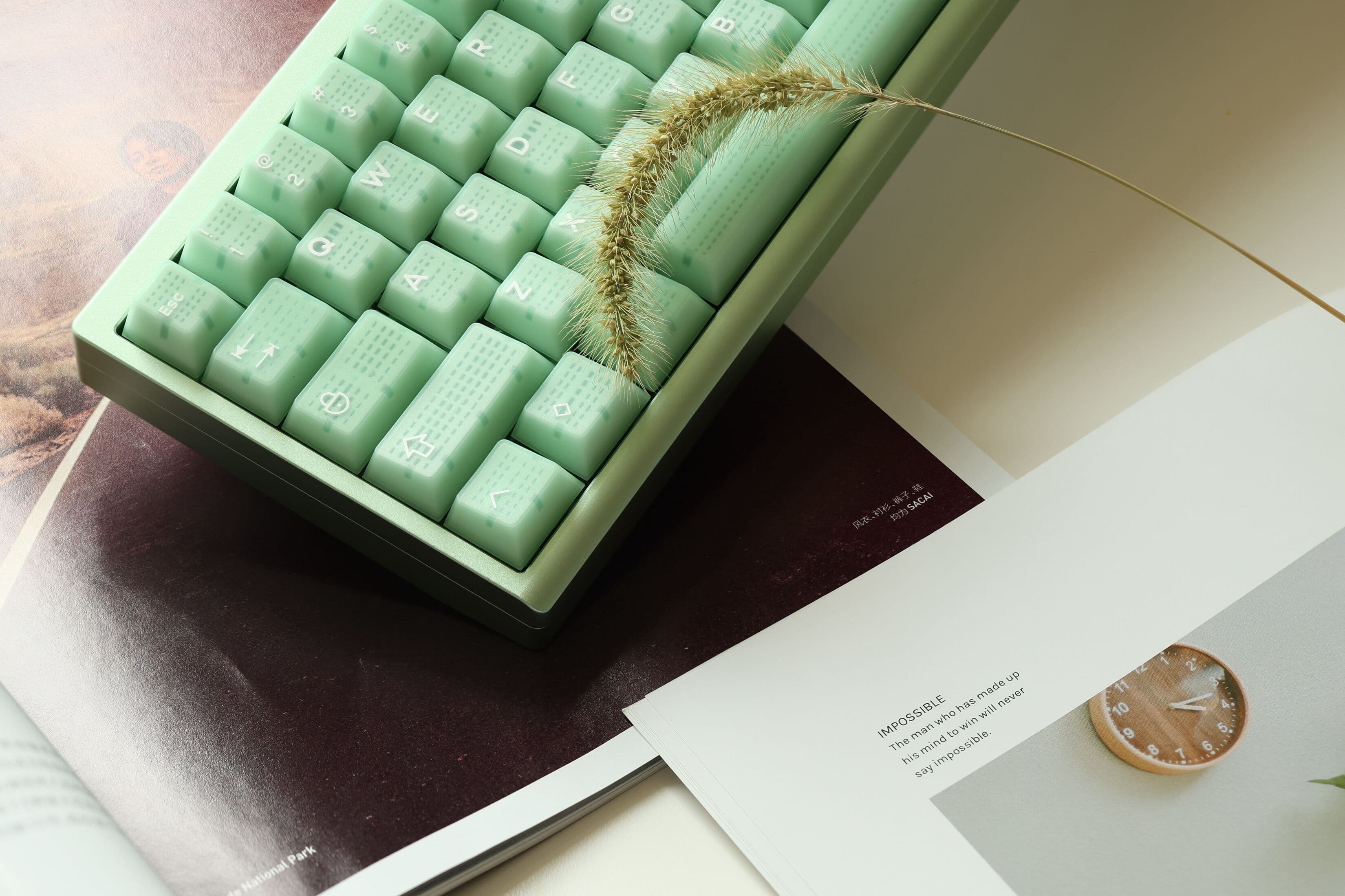 Enter67 V2 (List of Global Agents updated) image 24