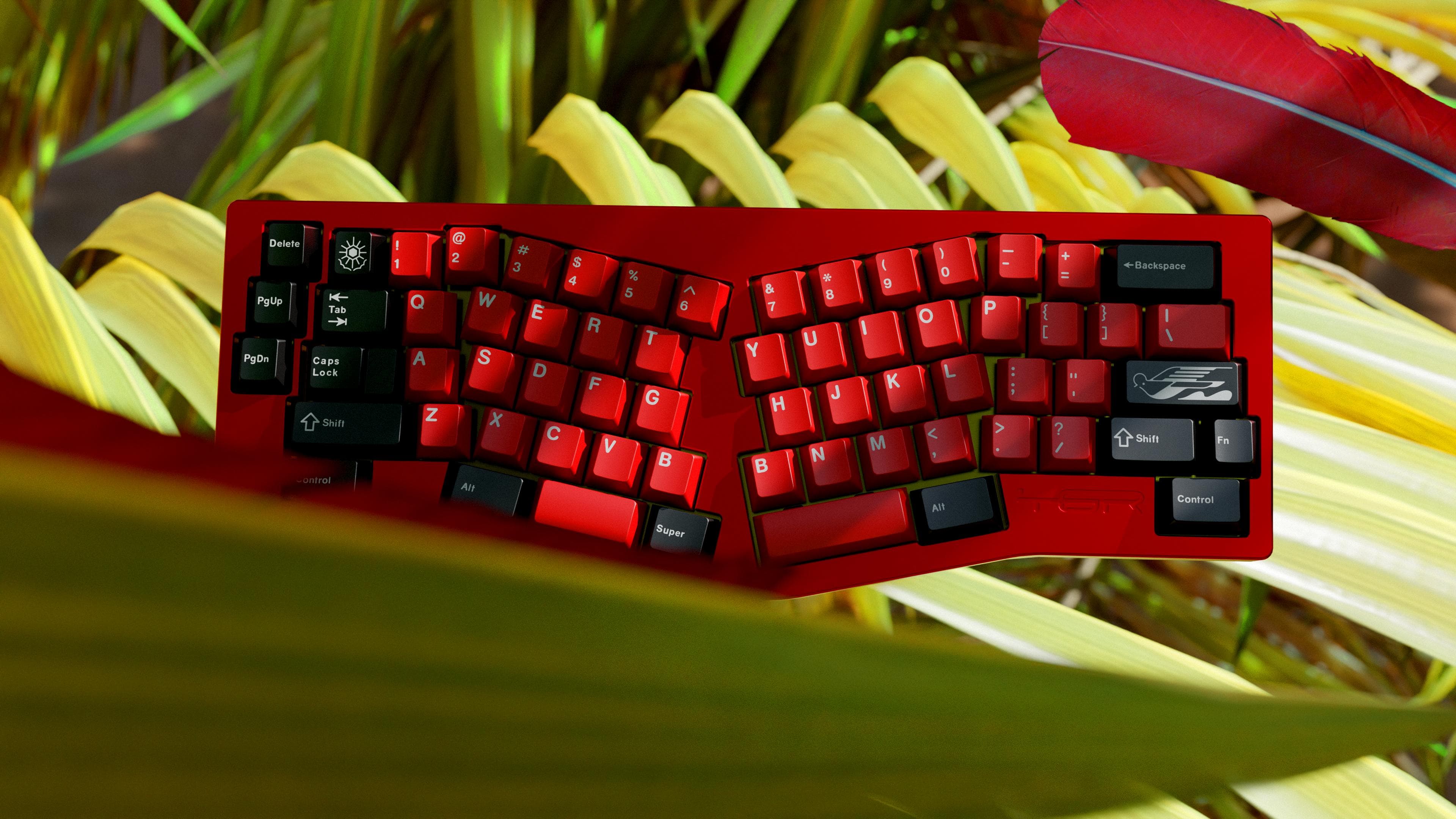 DCX Rocky Bird - Pre order is LIVE! image 2