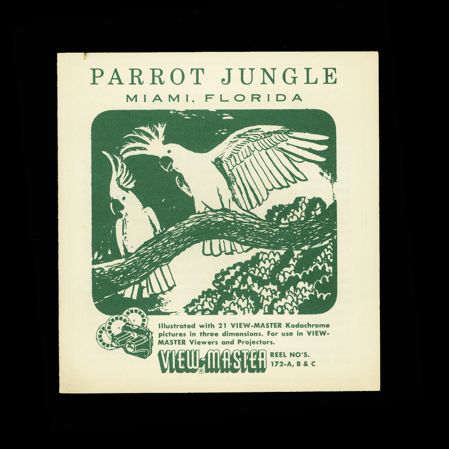 DCD PBT Bird Jungle - Pre Order is LIVE! image 3