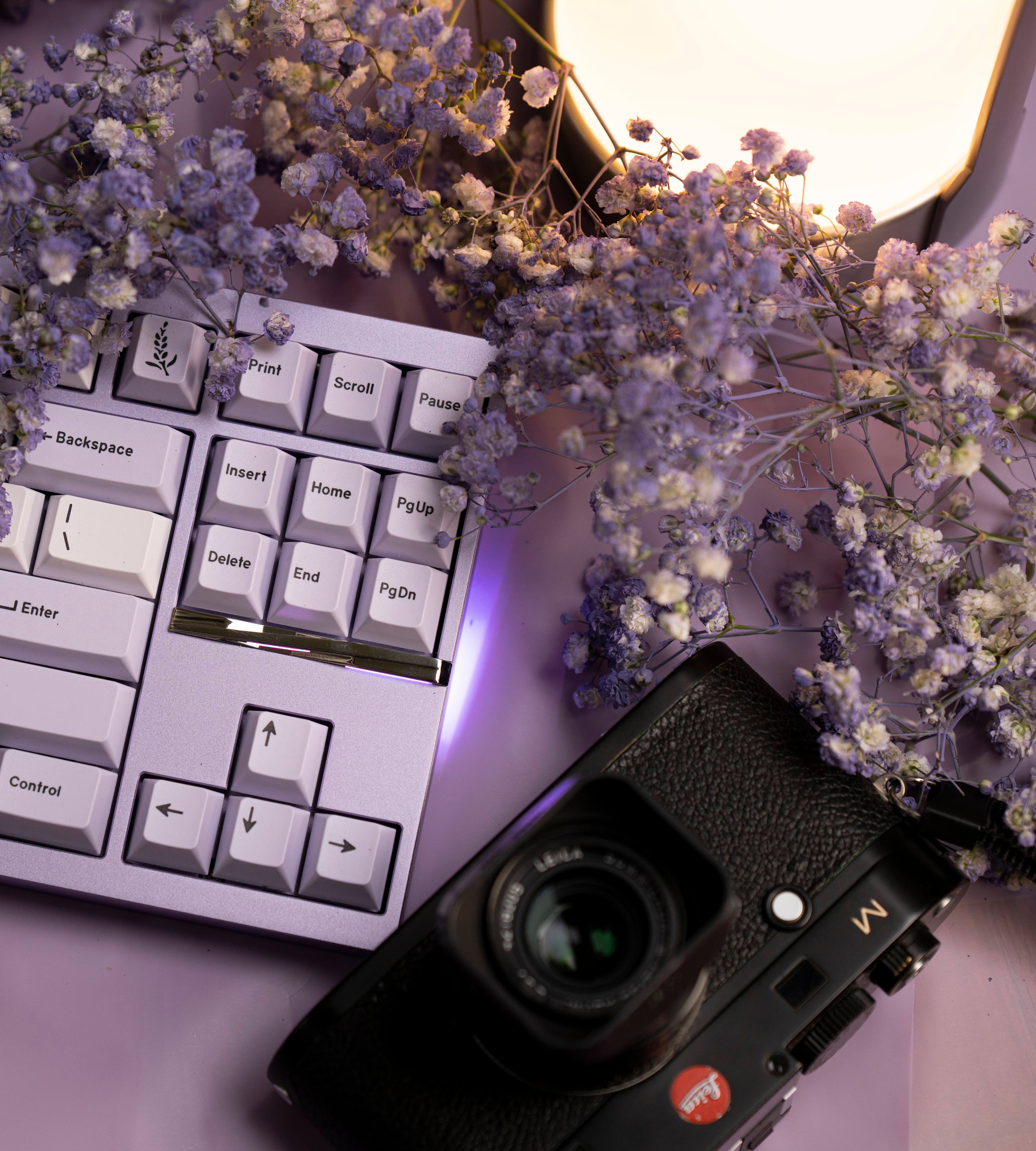 Haven TKL - An 80% Keyboard with F13 Layout image 16