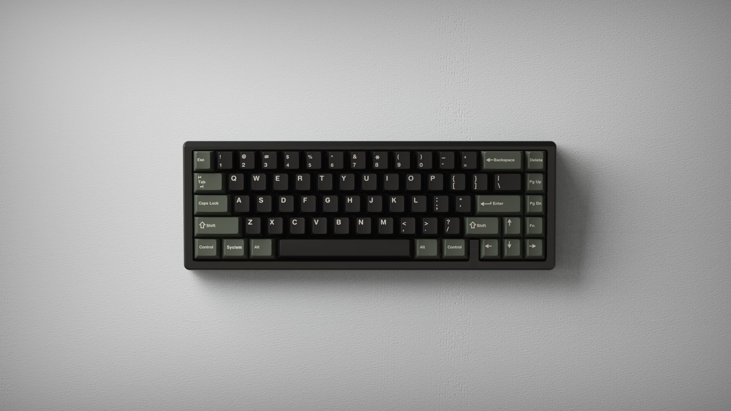 55565 - 65% O-ring Gasket + Bottom Mount image 2