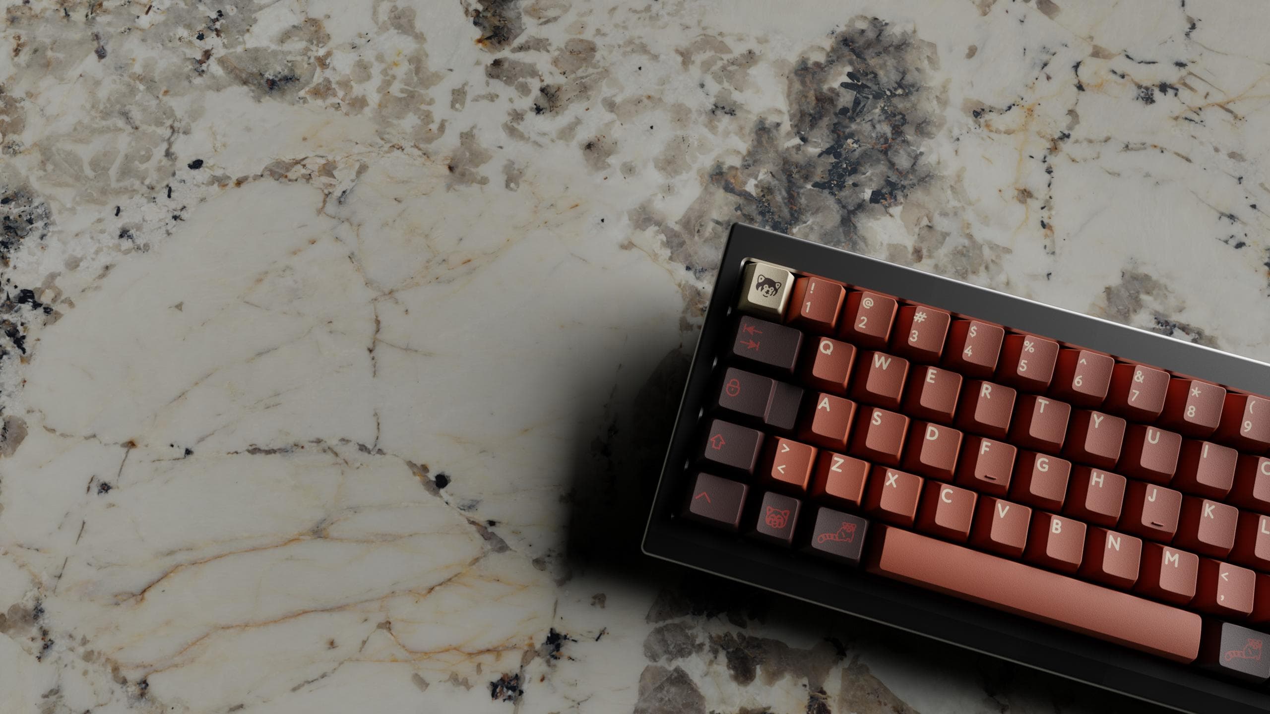 PBTfans Red Panda image 16