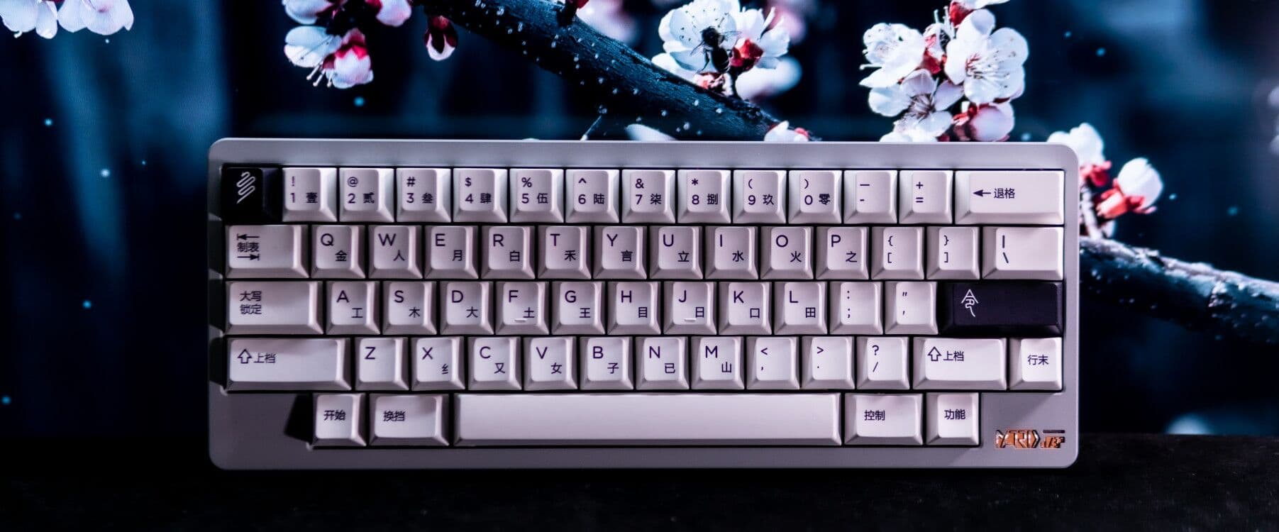 PBT Lord | Wubi Sublegend Cherry PBT BOW image 11