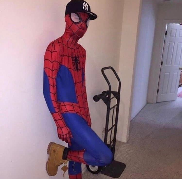 icp - Compact 1800 image 10