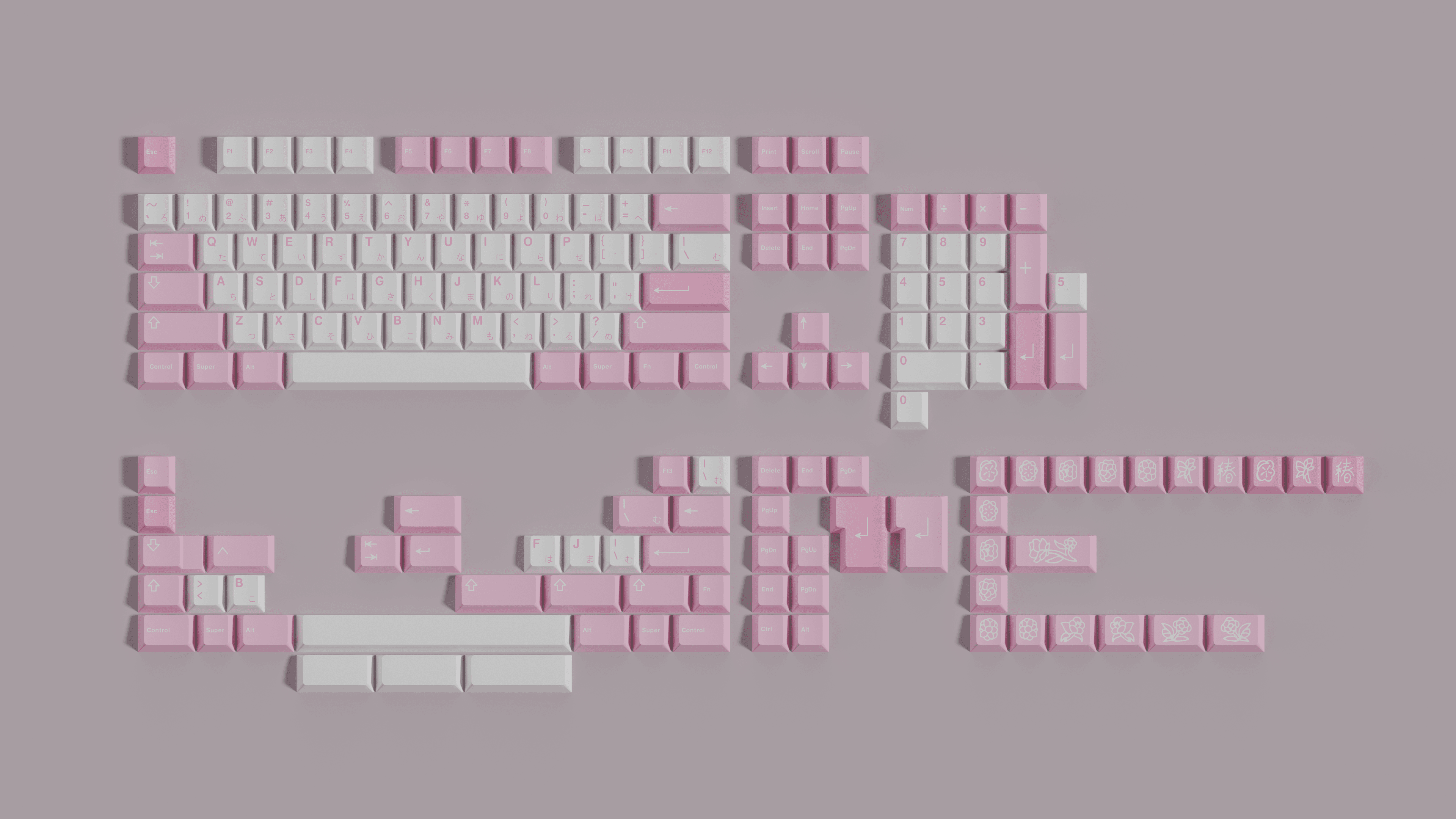 TOMOCAPS Tsubaki (椿)