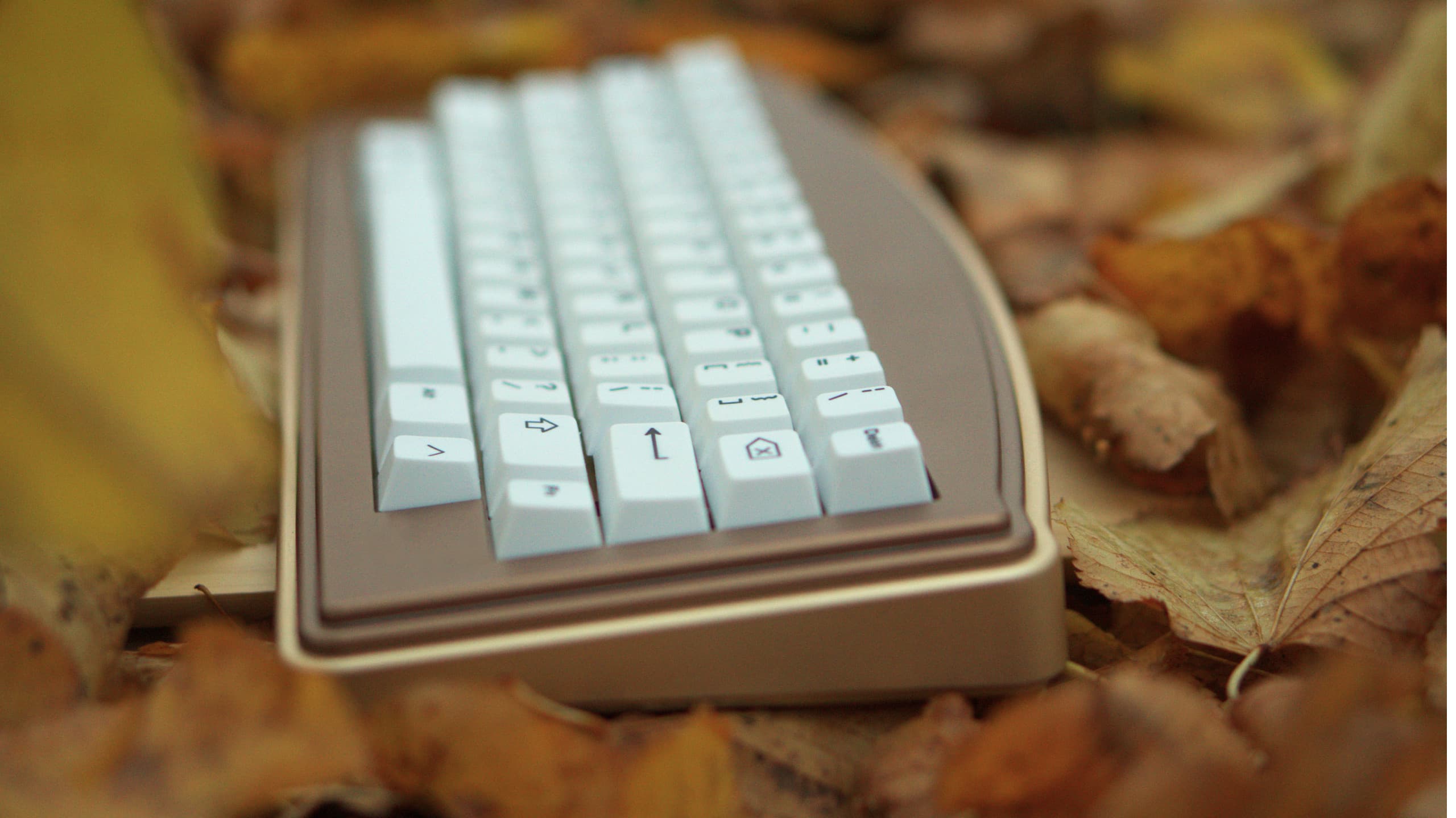 Haven60 - Distinct & Premium 60% | WK, HHKB | Group Buy LIVE Today Feb 10th image 30