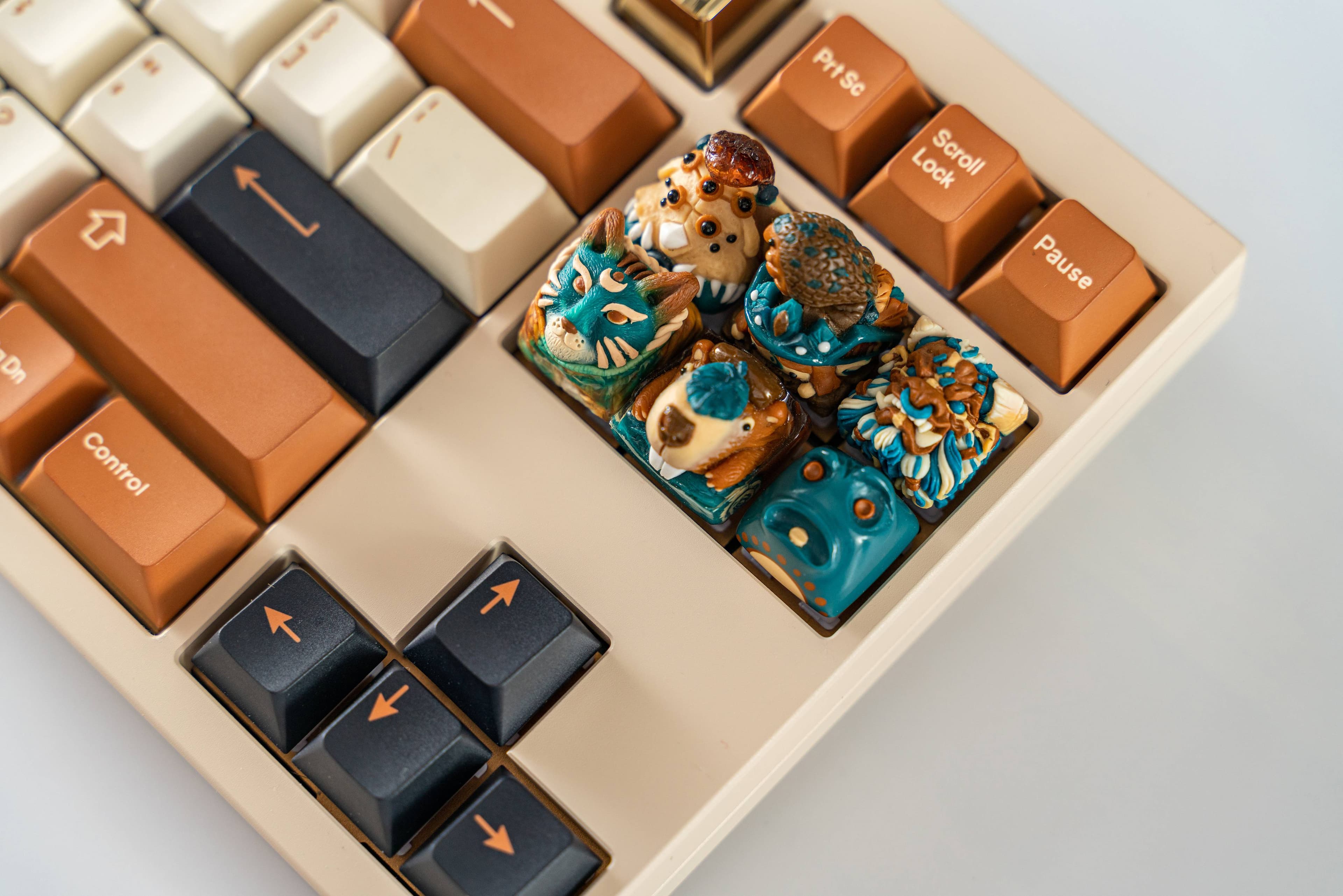 TMT TAHO | DONE! image 8