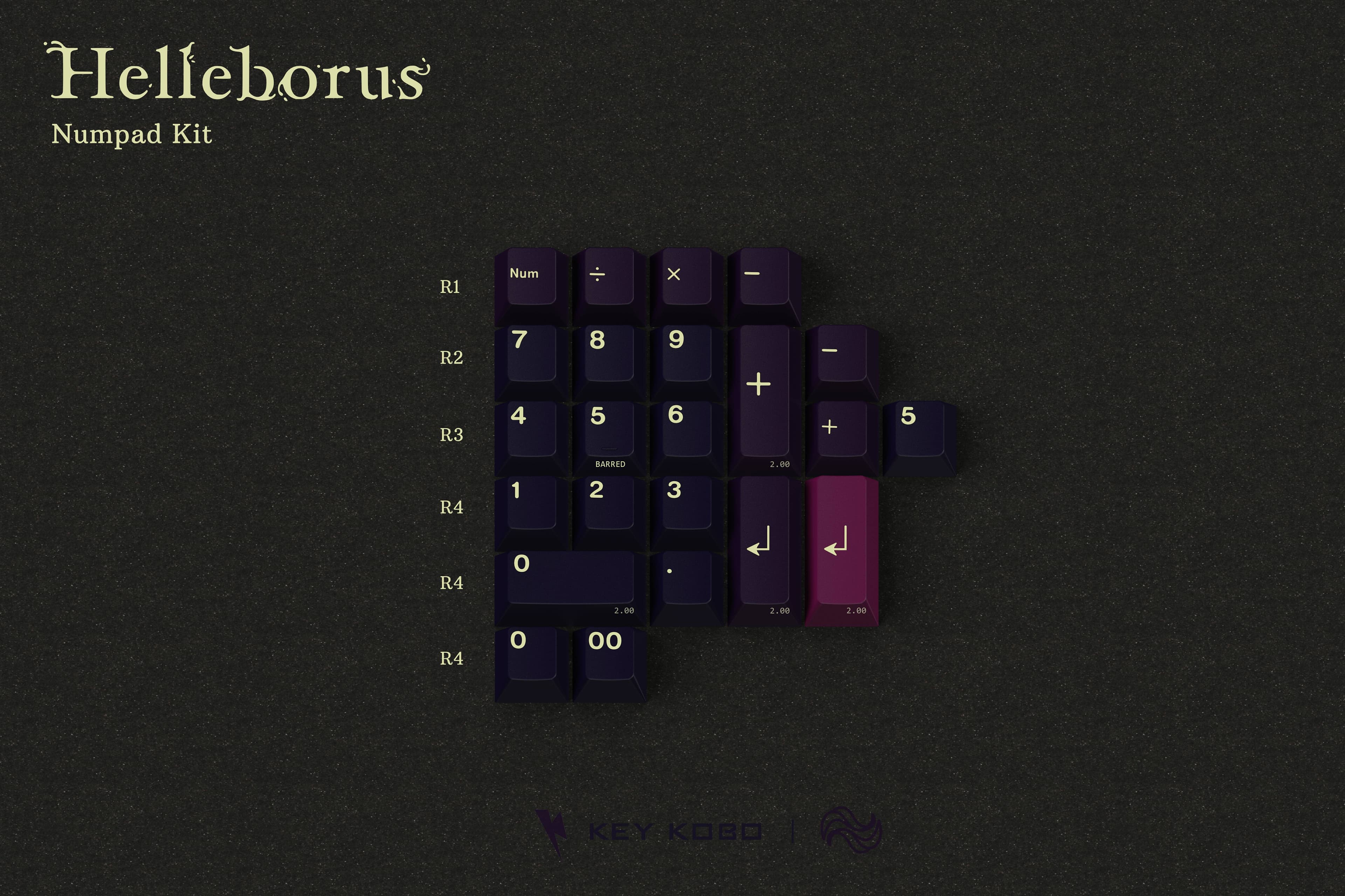 【IC】Key Kobo-Helleborus |Christmas Roses blooming in the dark night image 5