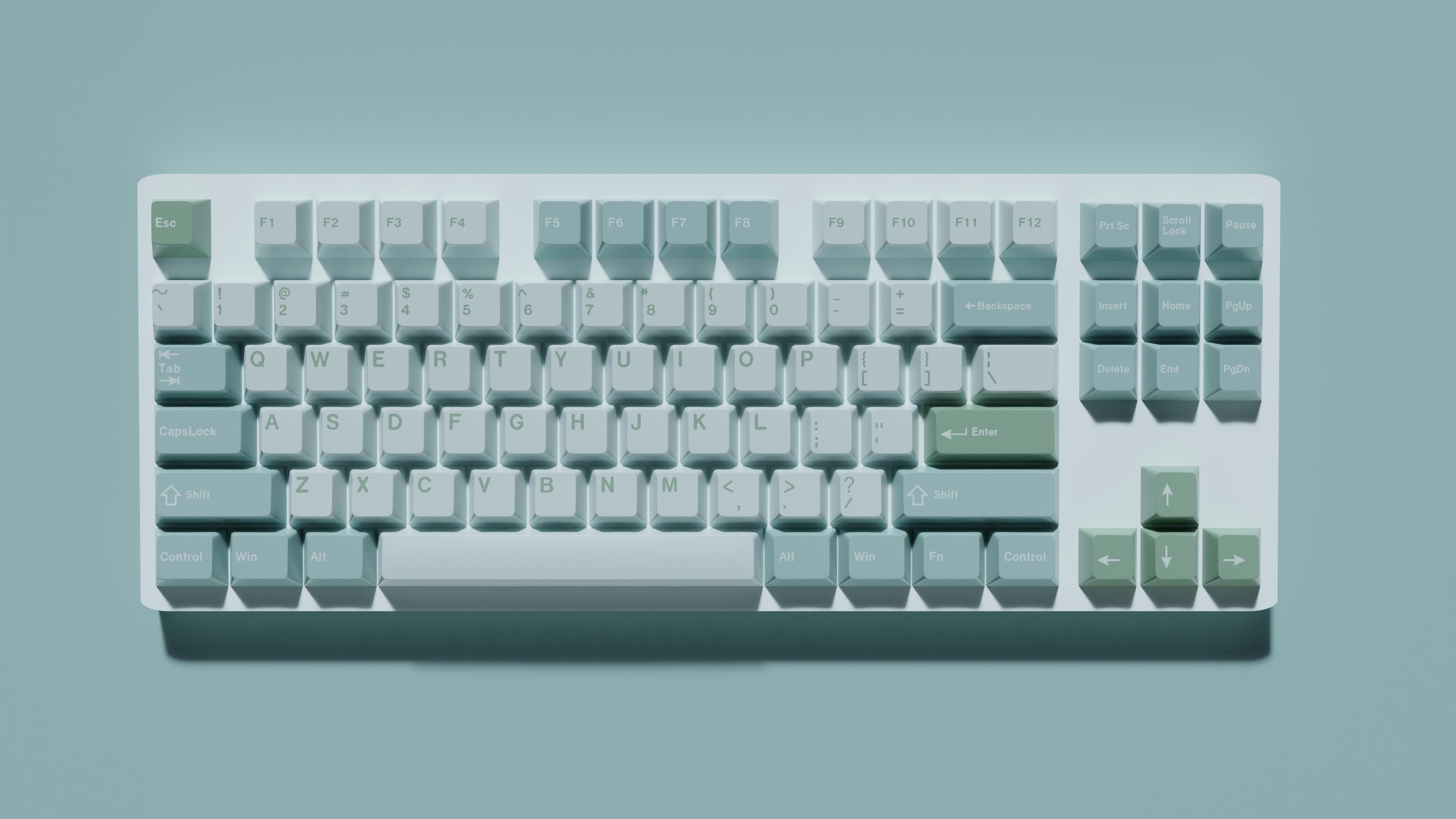 GMK Eucalyptus image 5