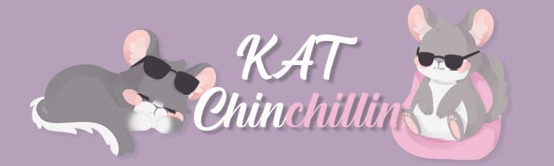 KAT Chinchillin - [GB] Is live image 35