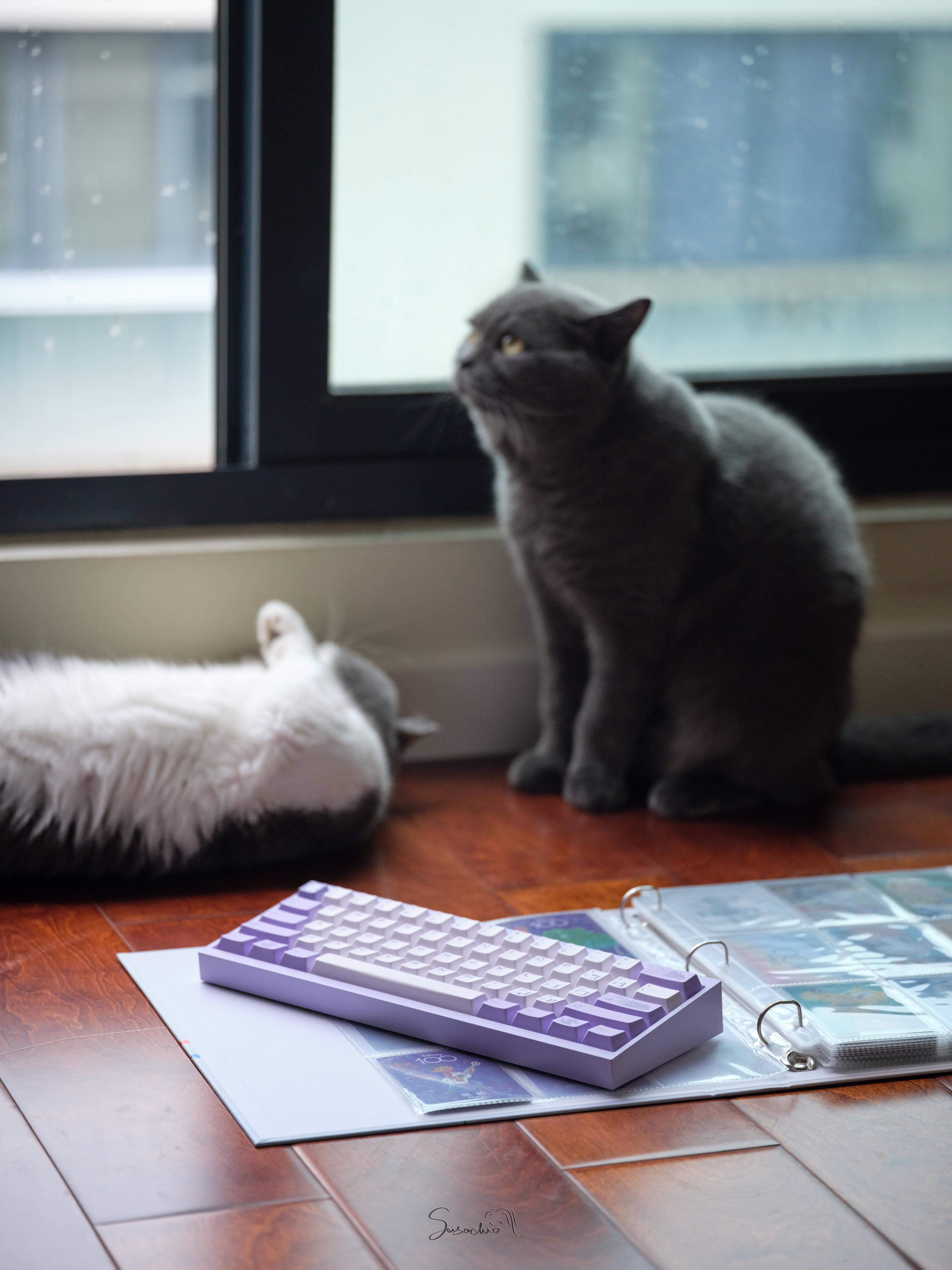 【IC】Zero-G Studio X DMK PBT theme keycap "Arrogant Cat" image 17