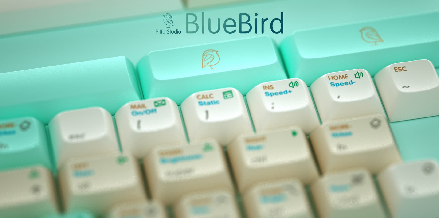 DSA BlueBird