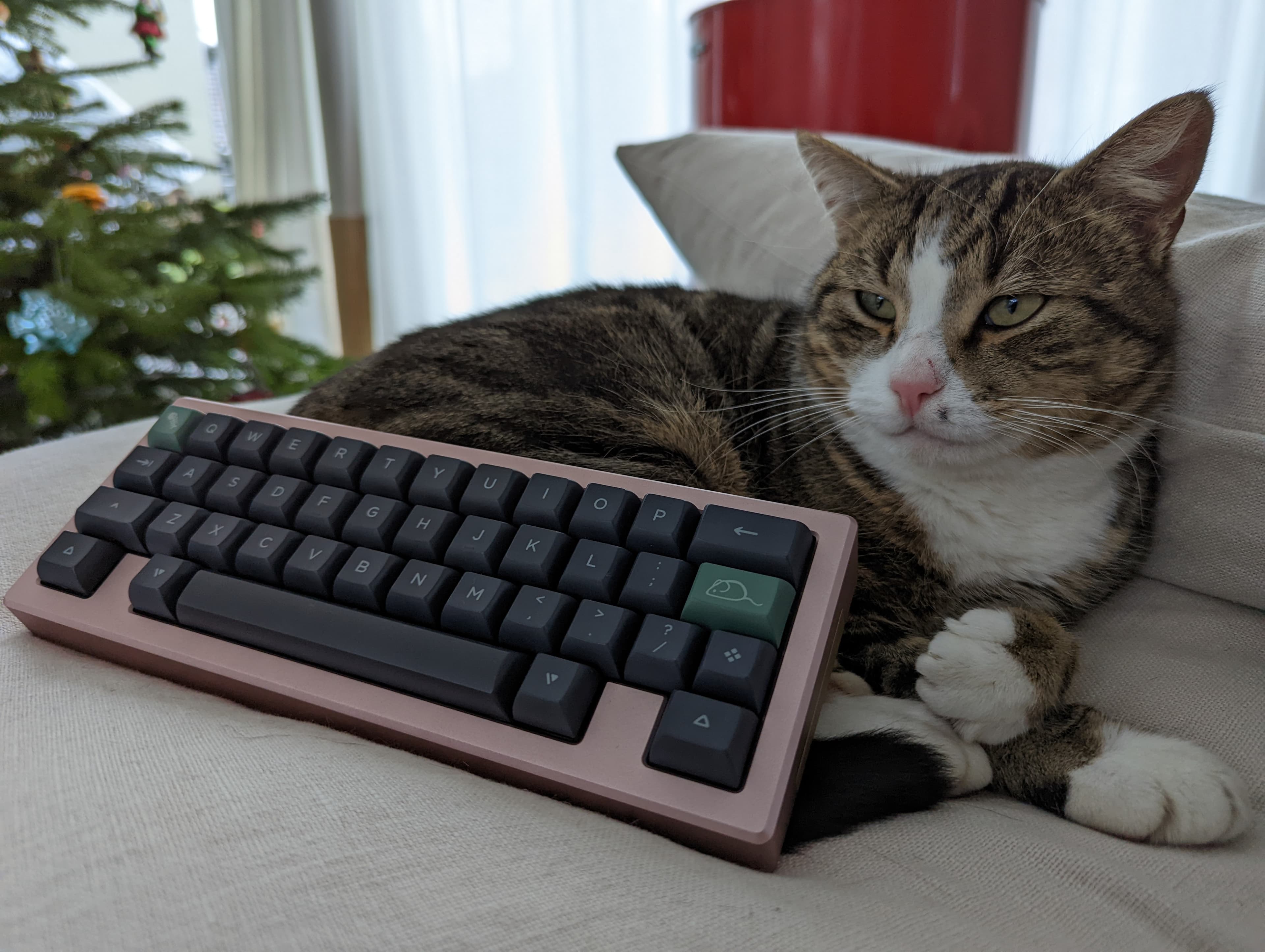 Whiskey // WKL Wireless Premium 40% Keyboard