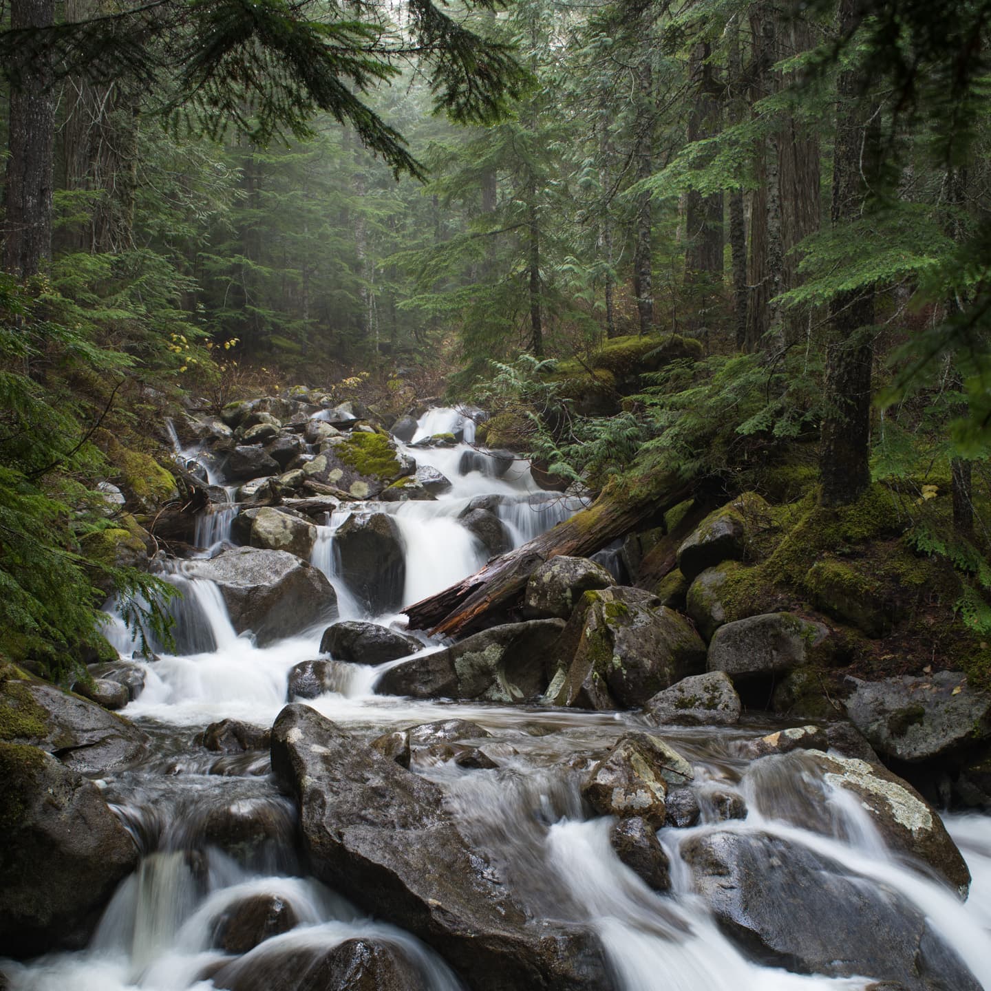 GMK November Fog - Last days for the GB! Ends Dec 1 11:59PM EST image 5