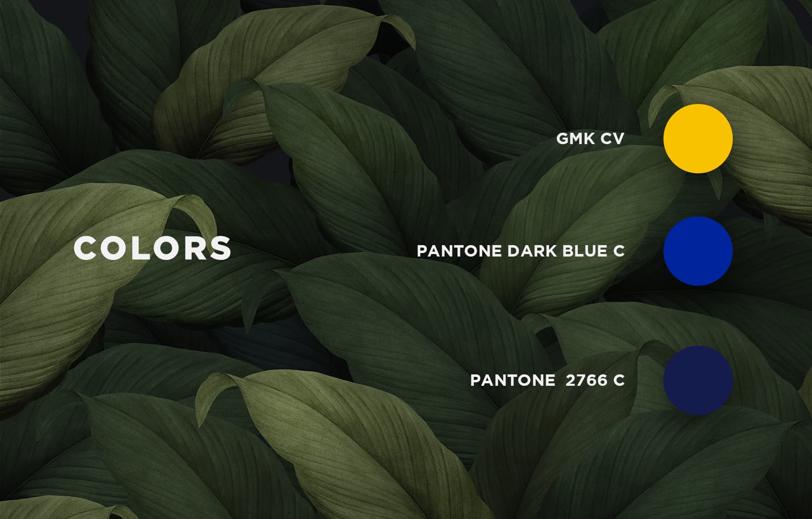 GMK Dream Bird image 25