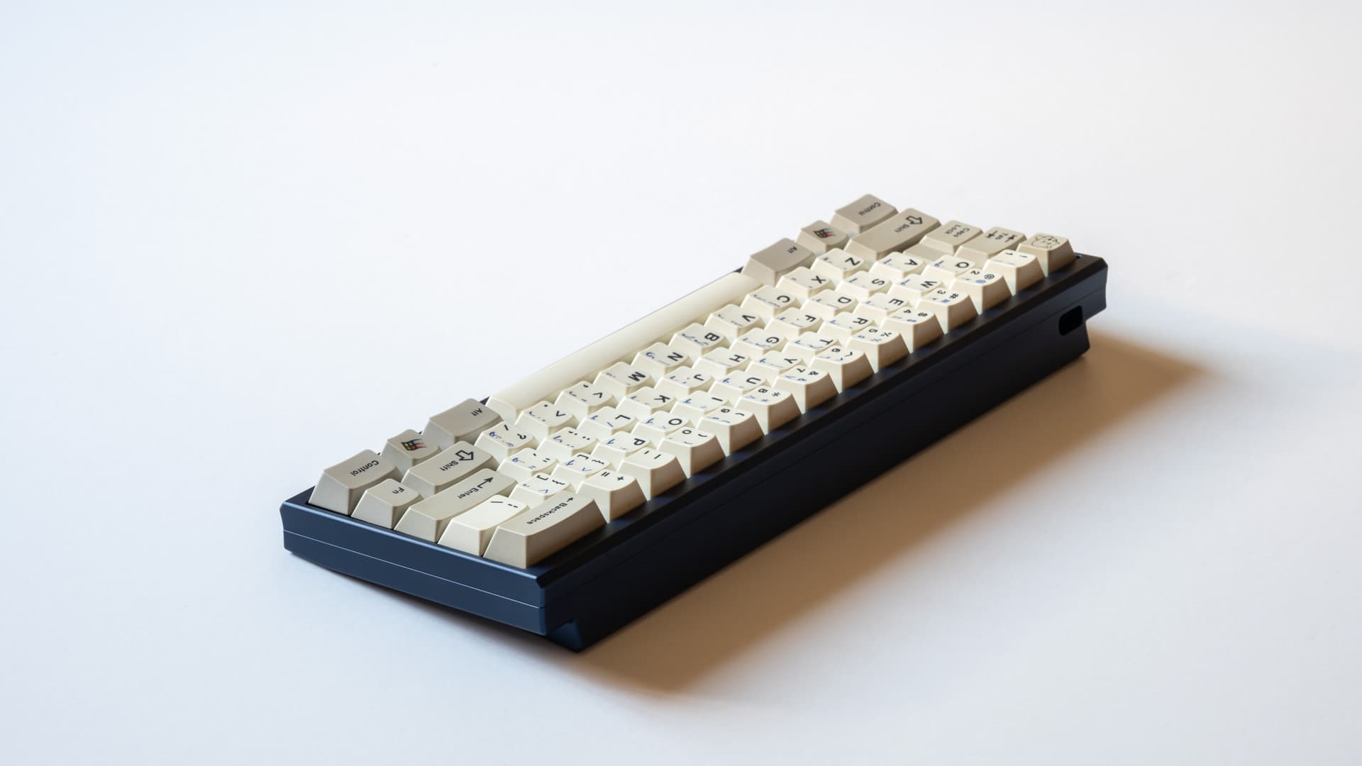 Petals Sixty - Paul x Sour (GB IS LIVE) image 5