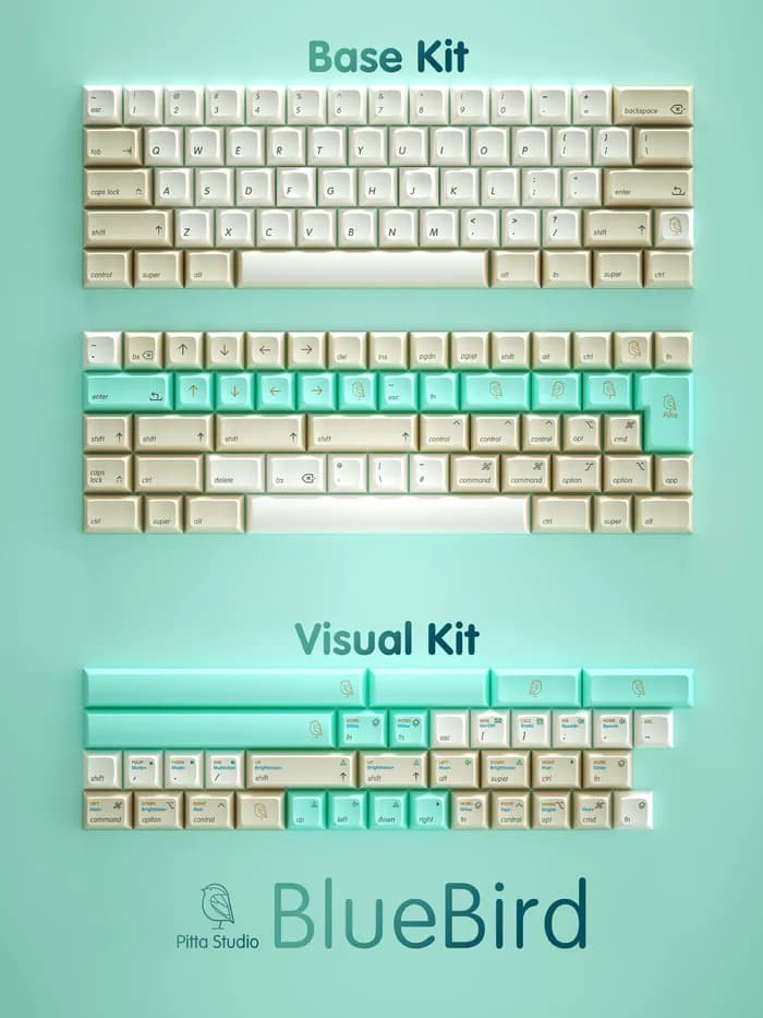 DSA BlueBird image 2