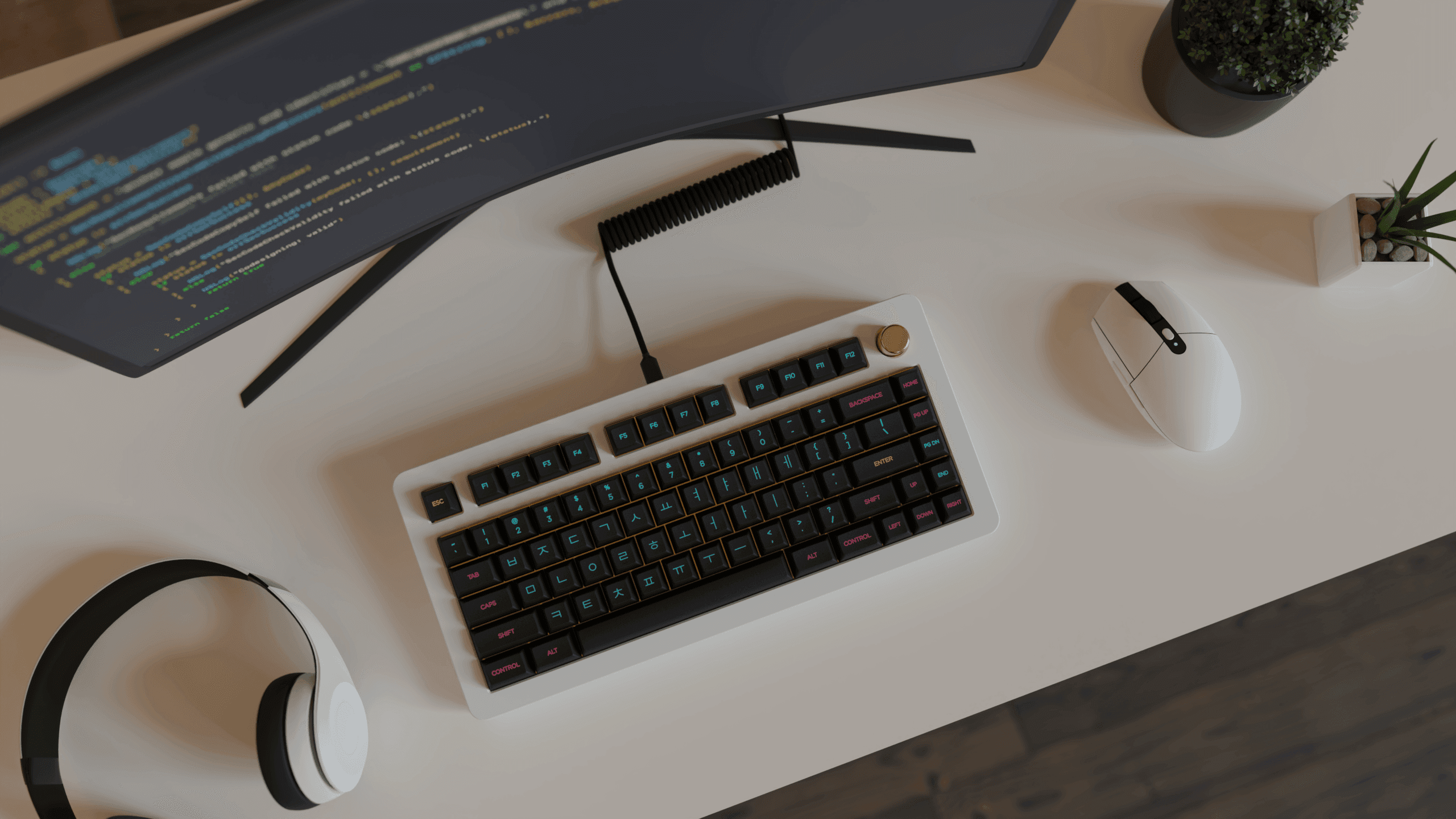 KAT Miami and Miami Nights (REBOOTED 2024) image 10