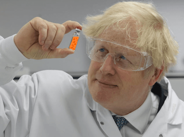 The Glorious Bean image 5