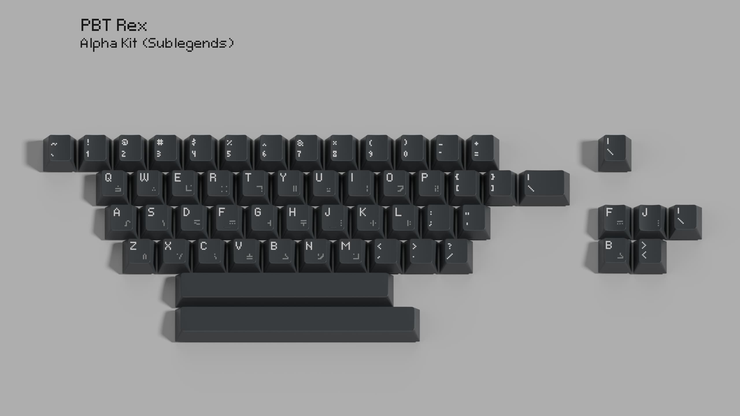 PBT REX image 10