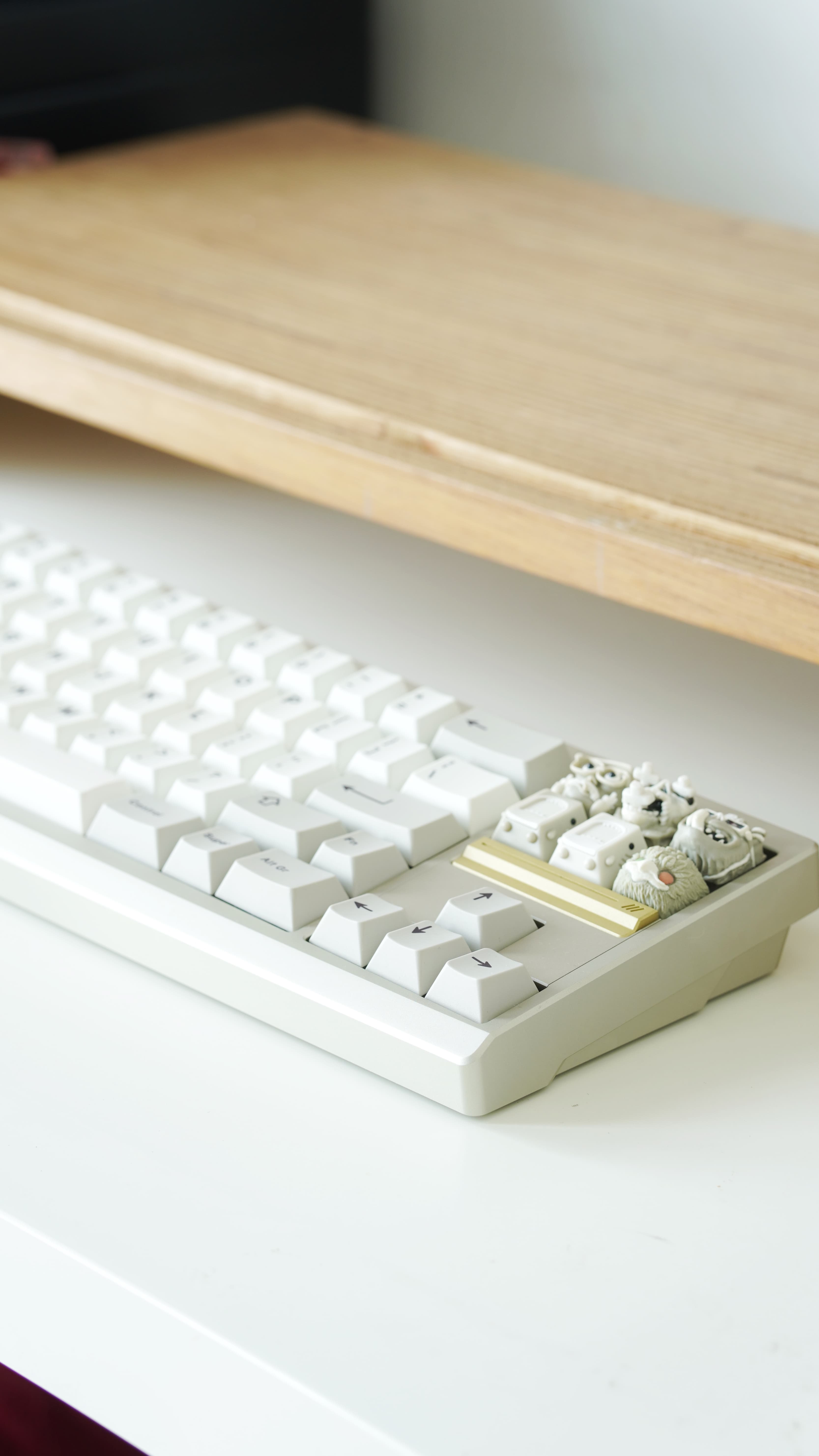 ØBLIVIATE • FRL TKL O-Ring Mounted Keyboard image 31