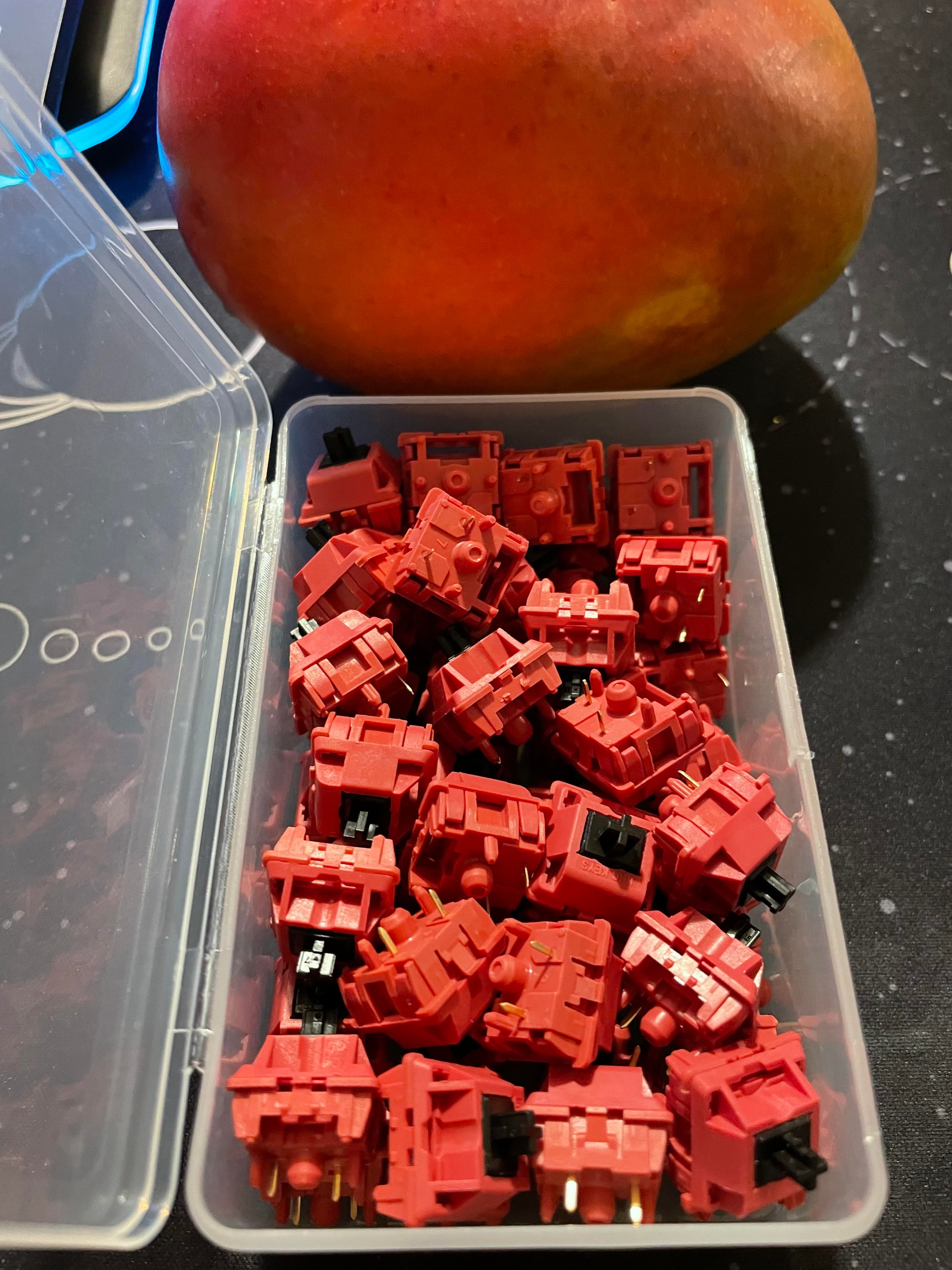 Red Jacket Linear Switch image 2