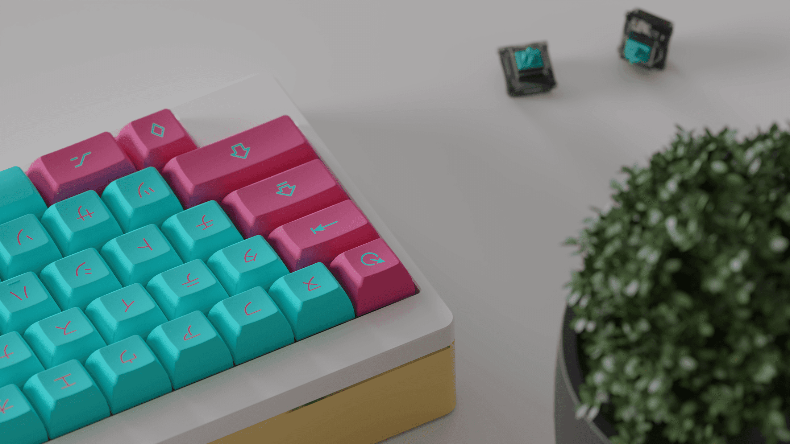 KAT Miami and Miami Nights (REBOOTED 2024) image 17