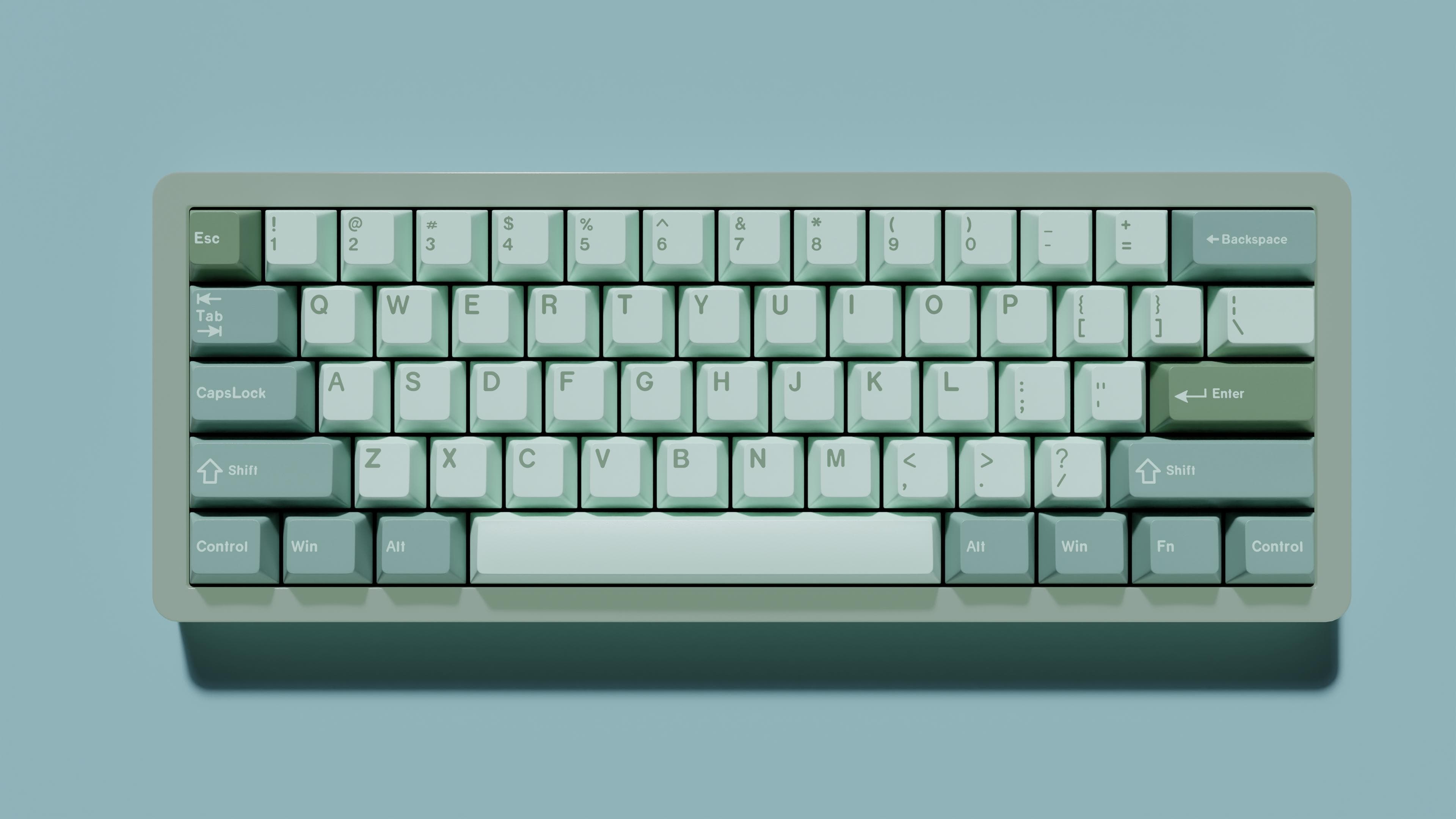 GMK Eucalyptus image 2