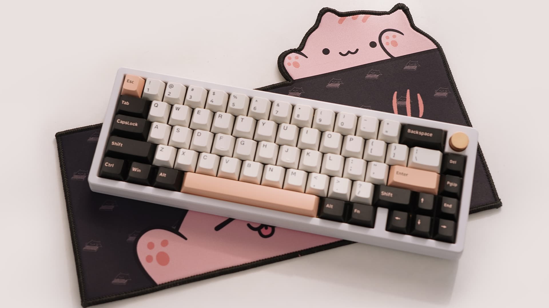 Clickitty Clackitty Catpads (aka Bongomat) - GB Live - ends 30 Dec image 25