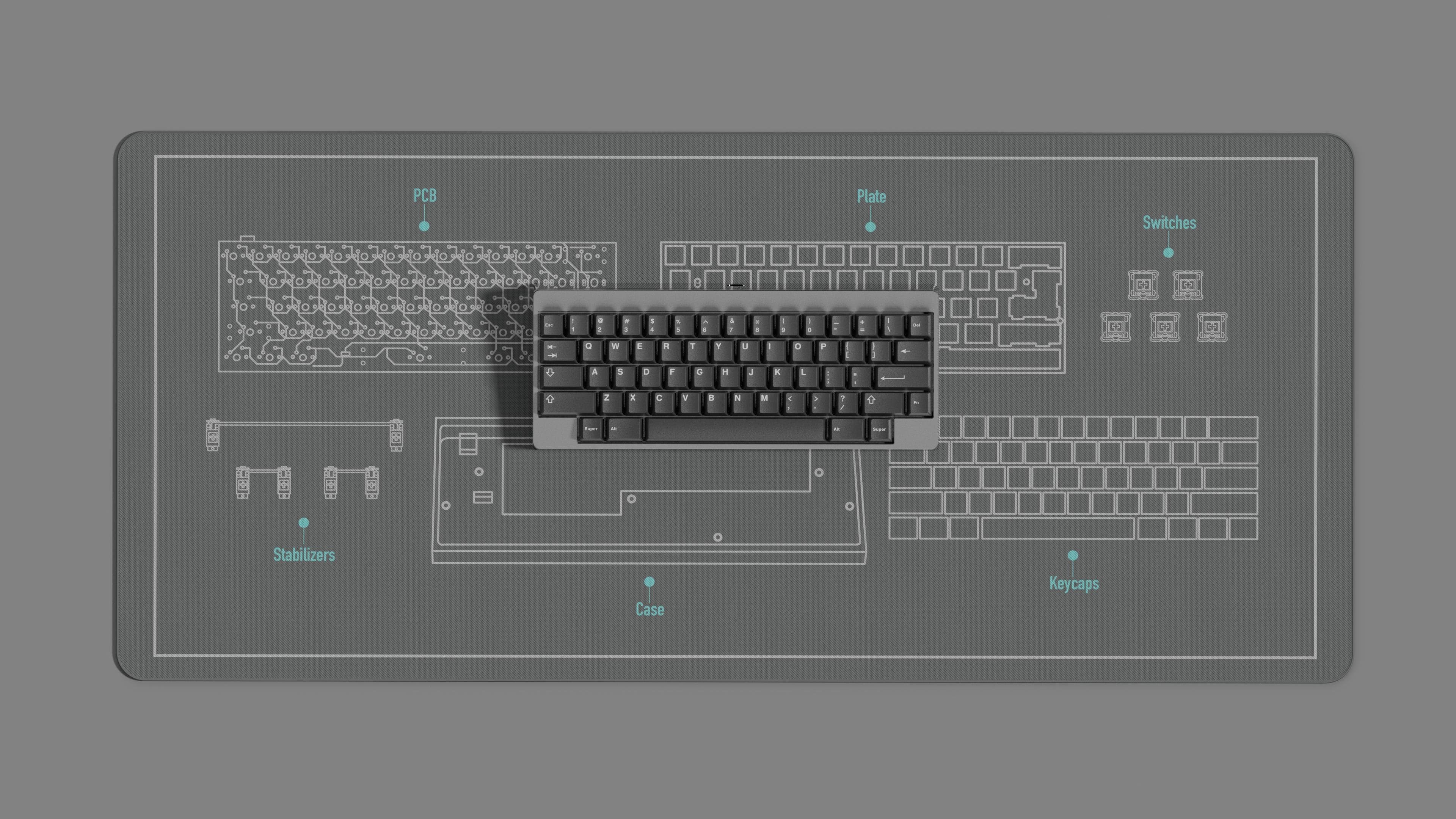 Keeb Anatomy Deskmat [Updated design base on feedback] image 13