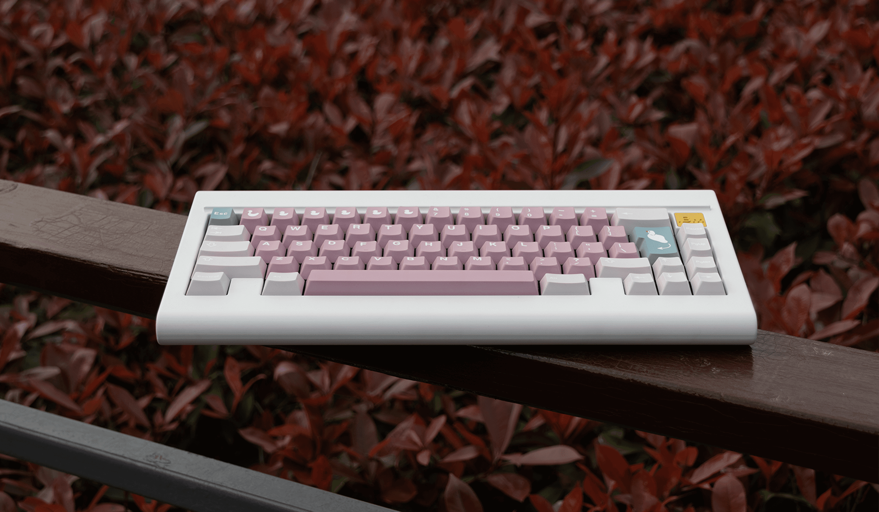 Heart & Water PBT keycaps kit (Group Buy starts now! 4.24-5.8) image 11