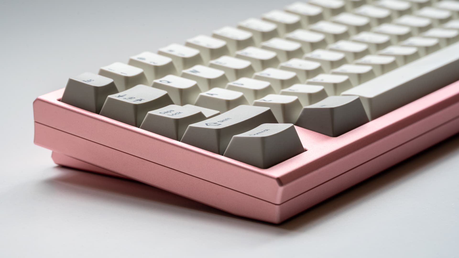 Petals Sixty - Paul x Sour (GB IS LIVE) image 13