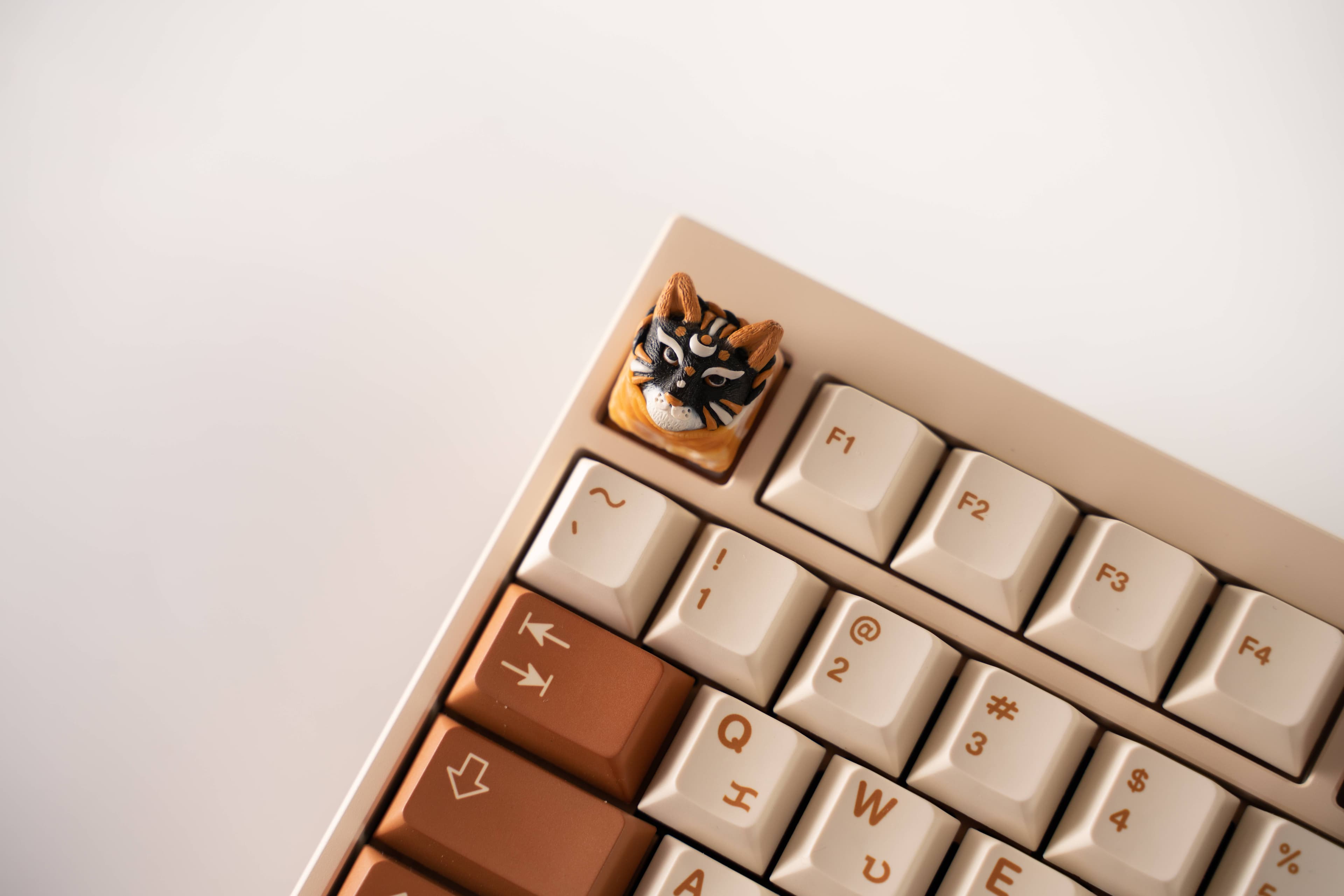 TMT TAHO | DONE! image 11