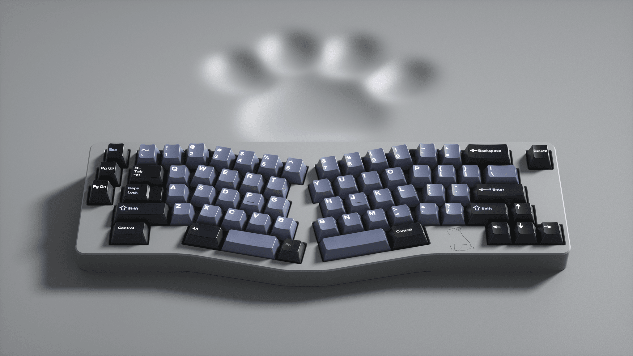 Bear65 V2 - Ergo keyboard -12th-18th July (GB) image 5