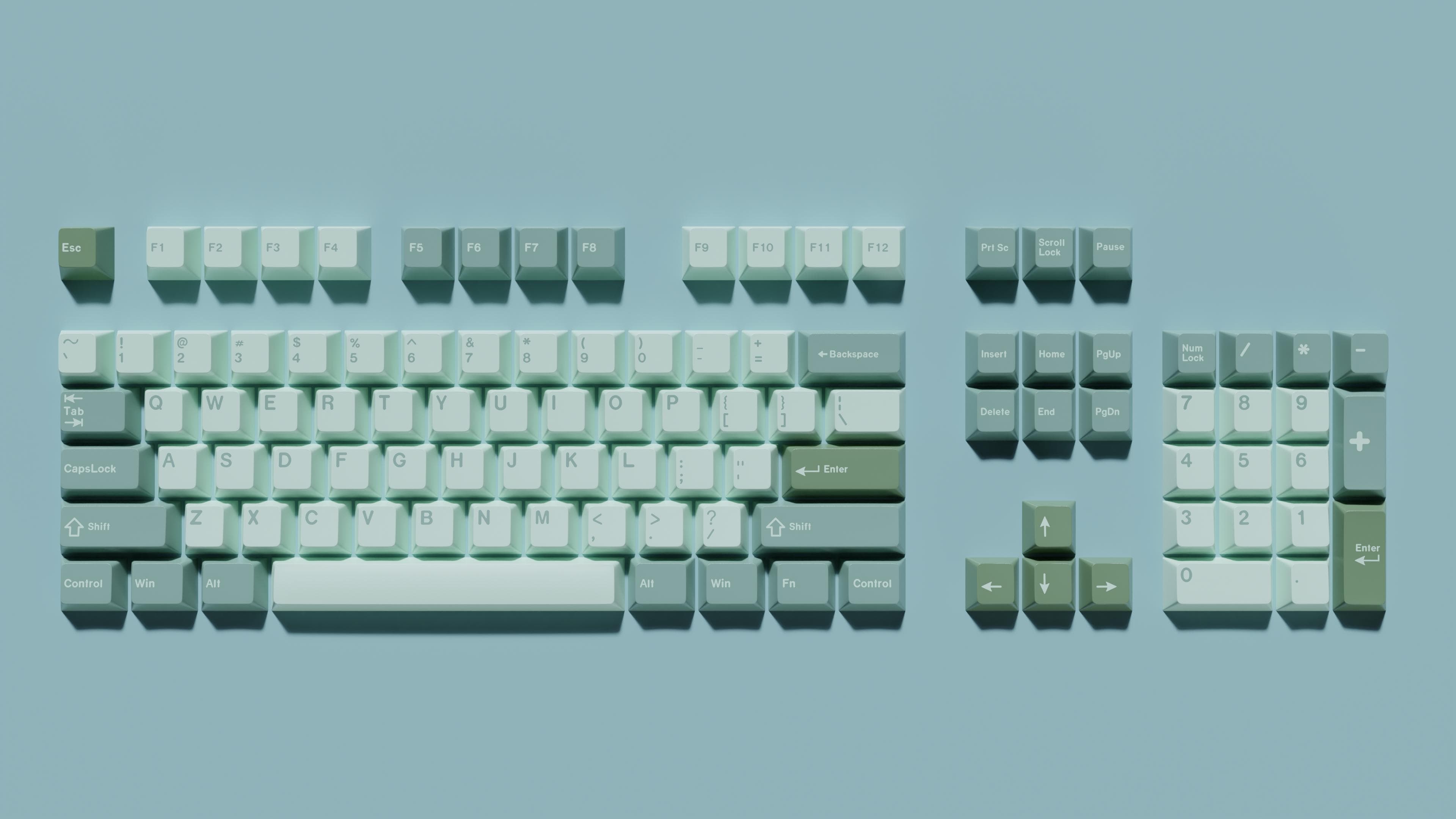 GMK Eucalyptus