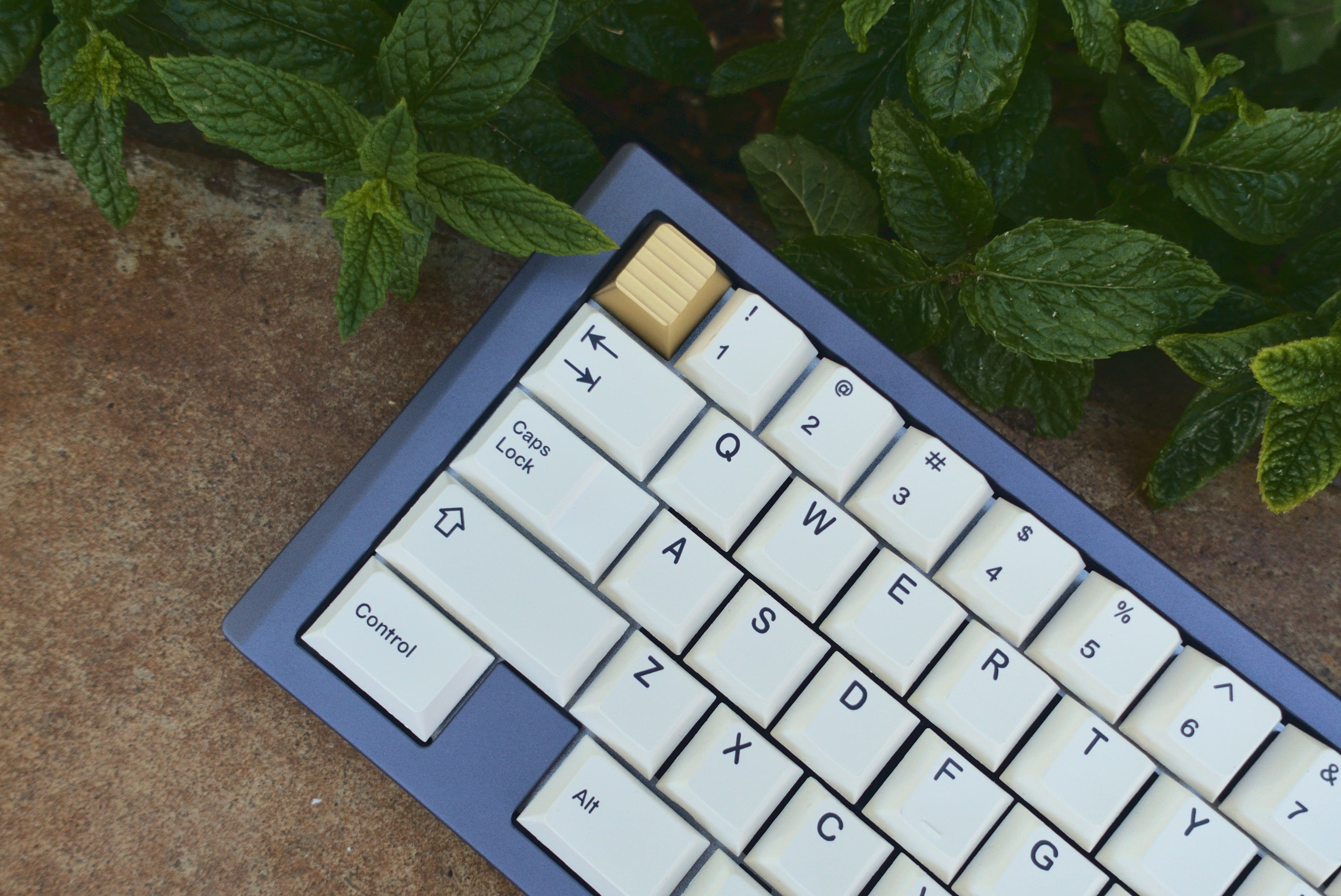 Moment - 60% | GB Open Oct 1 - Oct 16 image 32