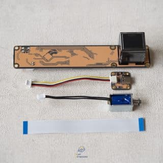 Model OLED | GB Starts on 2024.1.12 image 56