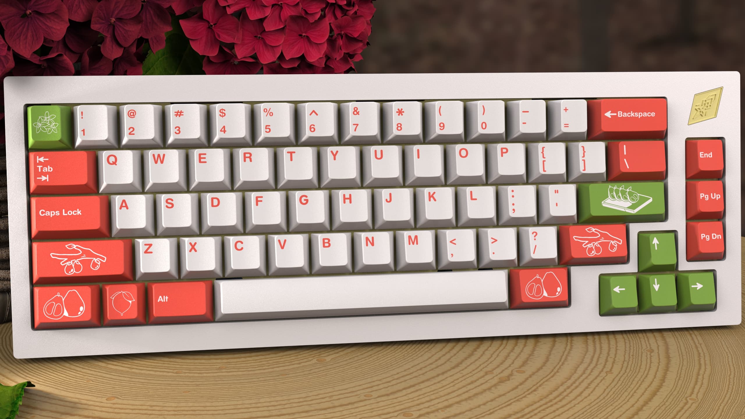 EPBT Pomelo | Archived image 20