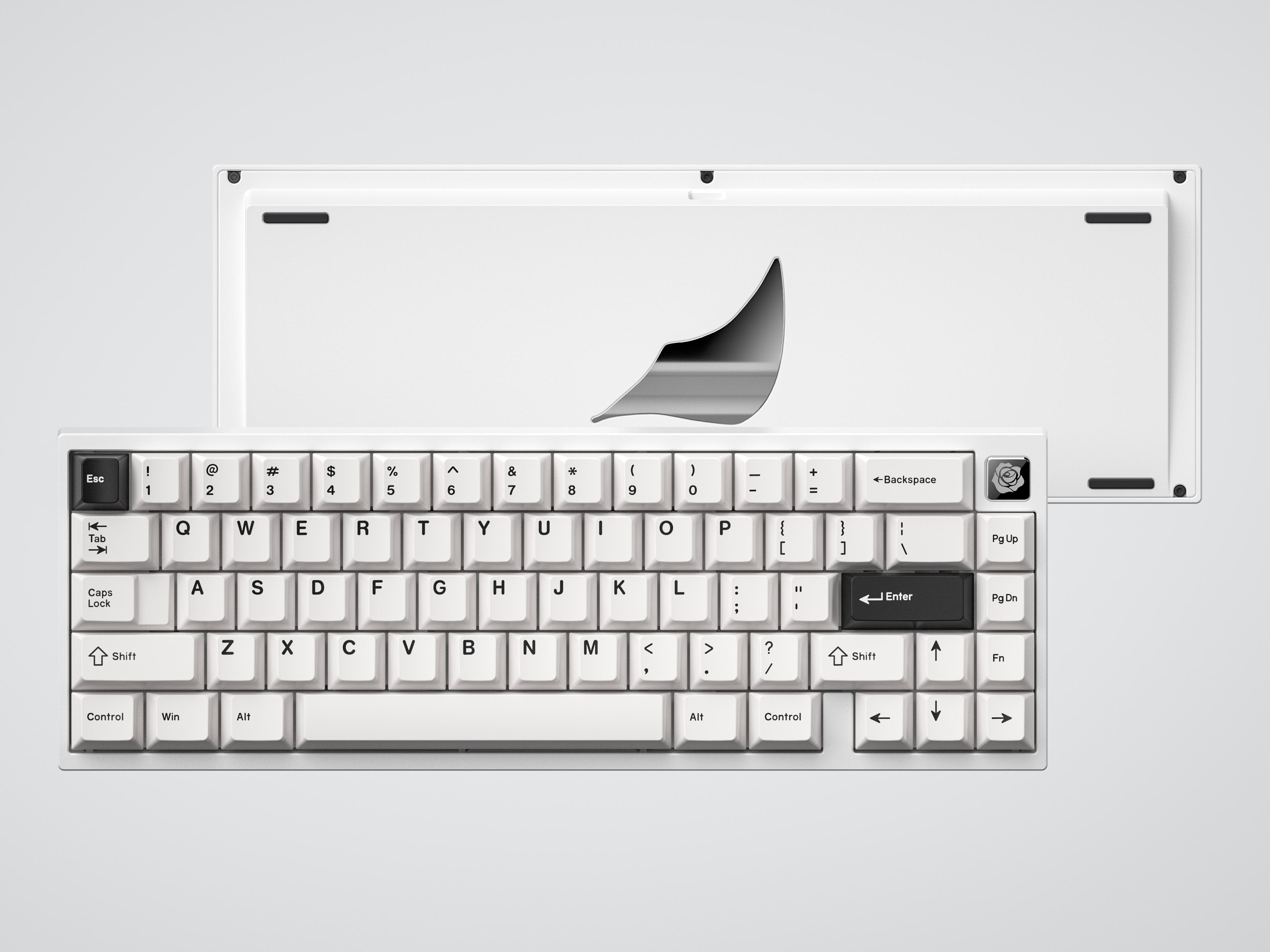 Roze 65 | The Darkness Rises When The White One Slumbered image 10