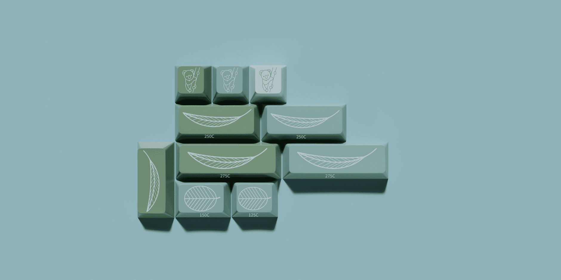 GMK Eucalyptus image 6