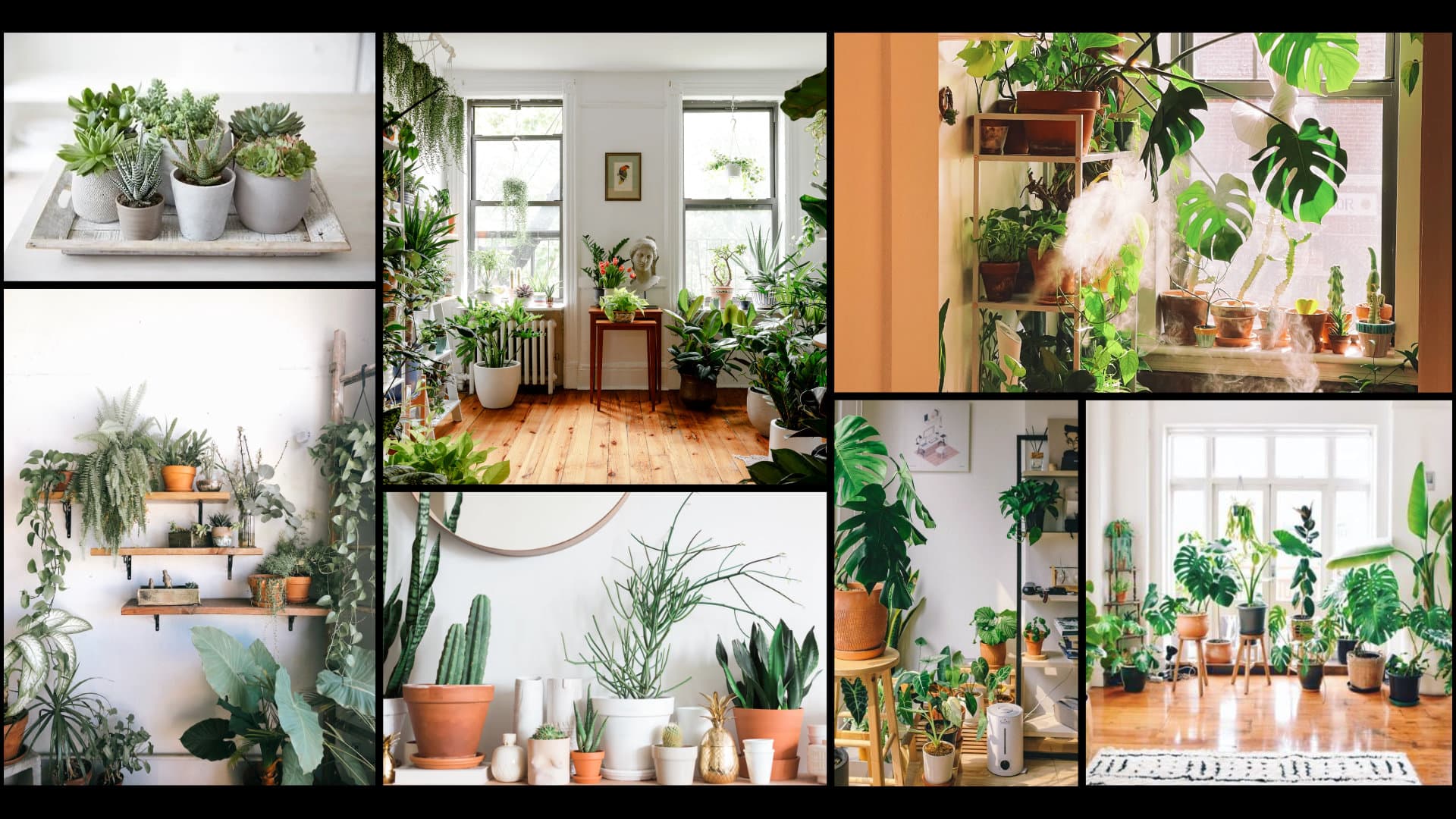 Habitat Keycaps | GB LIVE 28 Feb - 28 Mar