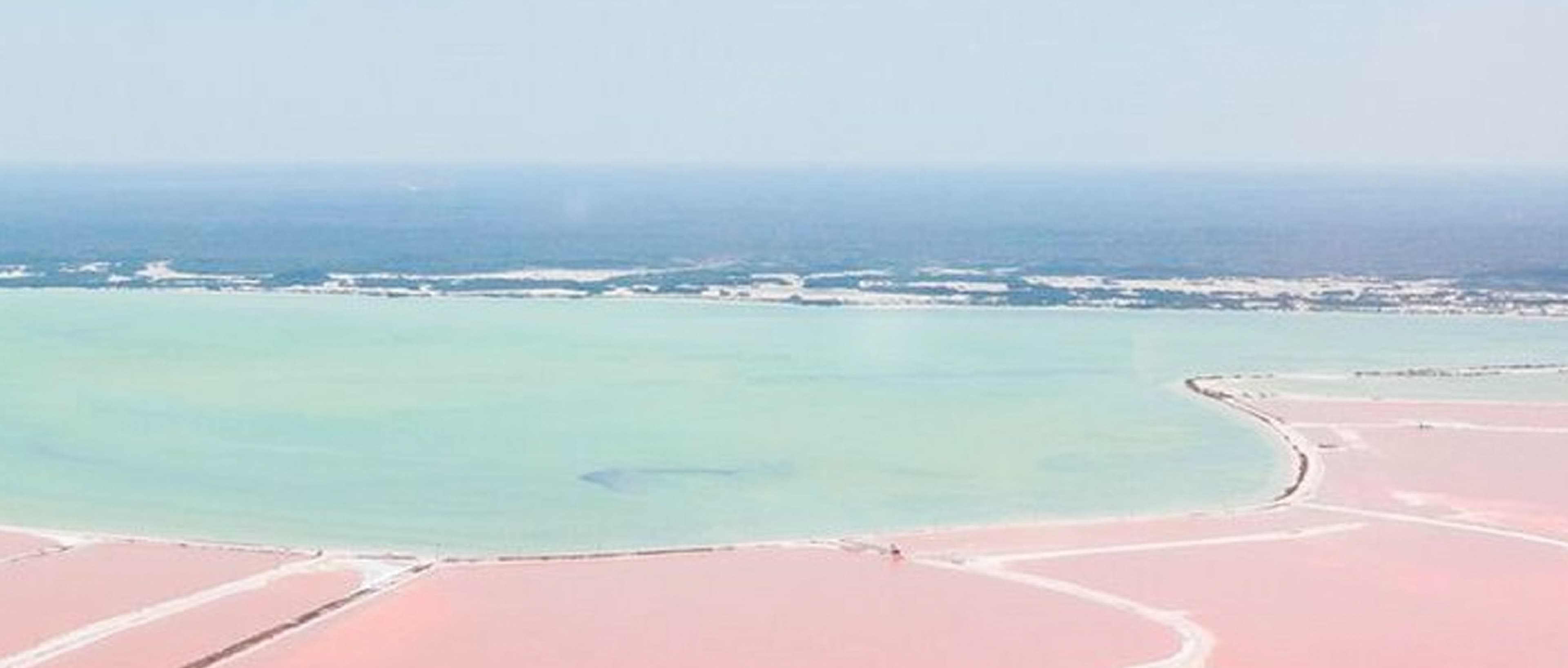 Milkyway Coloradas(GB IS LIVING!!! ) image 3