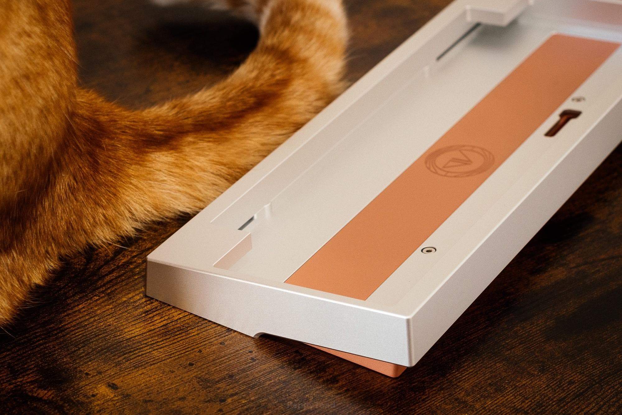 Leviatán - Plateless 60% -- GB POST LIVE image 13