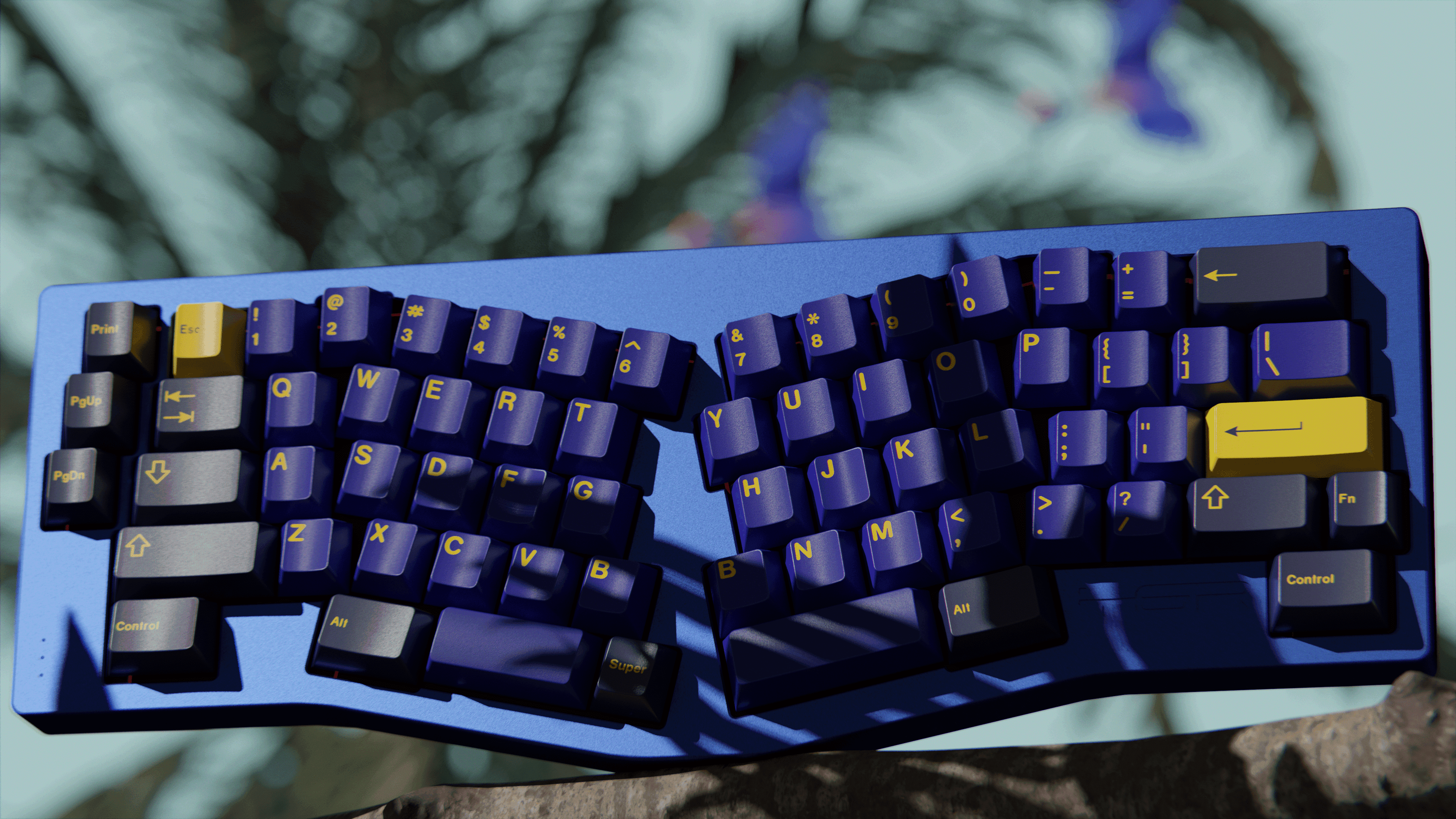 GMK Dream Bird image 12