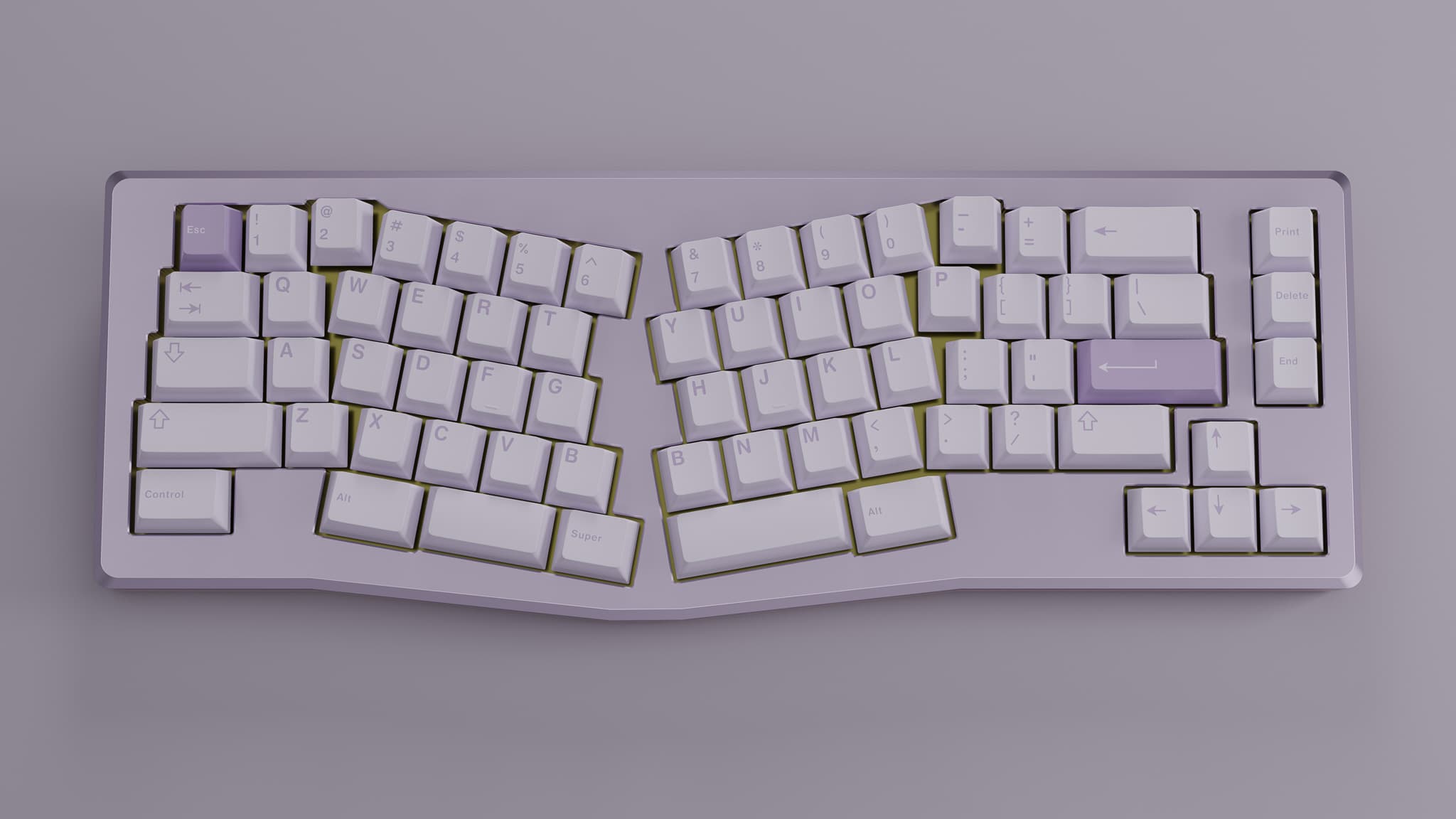 TomoCaps - Barn Owl image 3